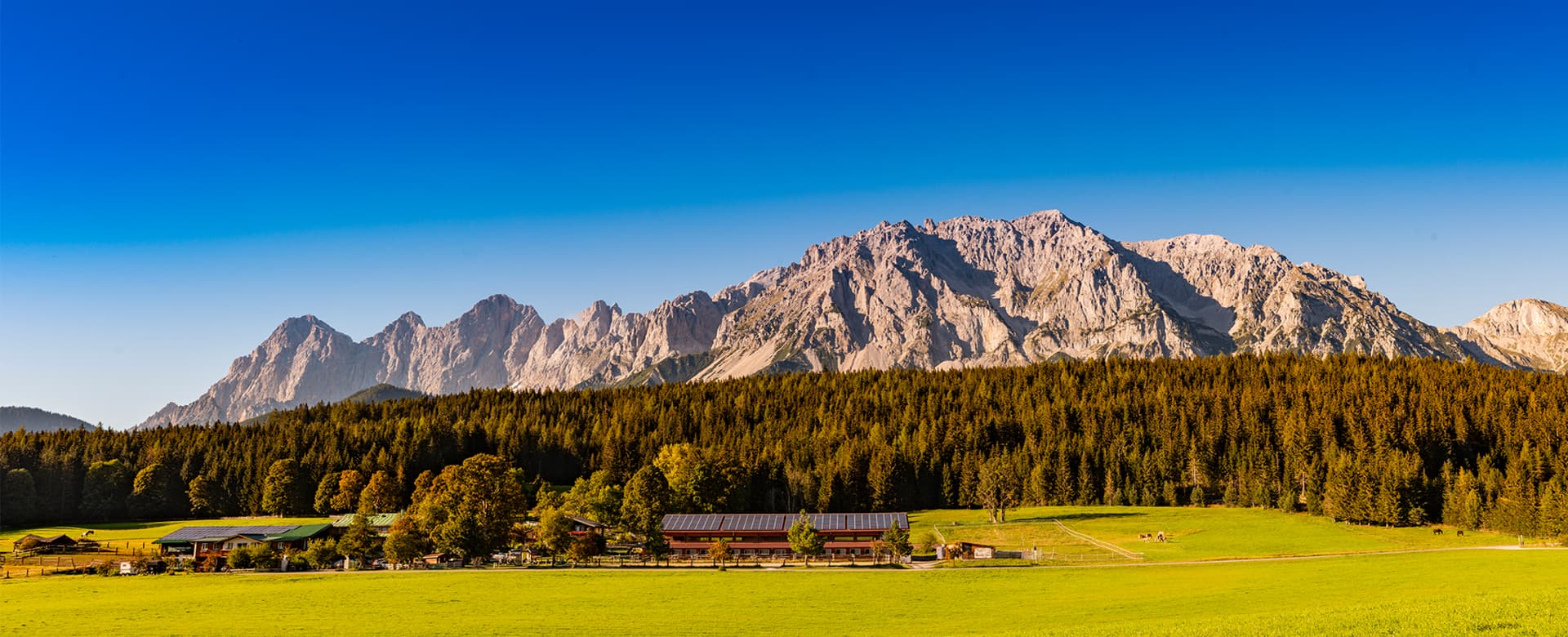 Wohnmobilstellplatz: Zechmannhof