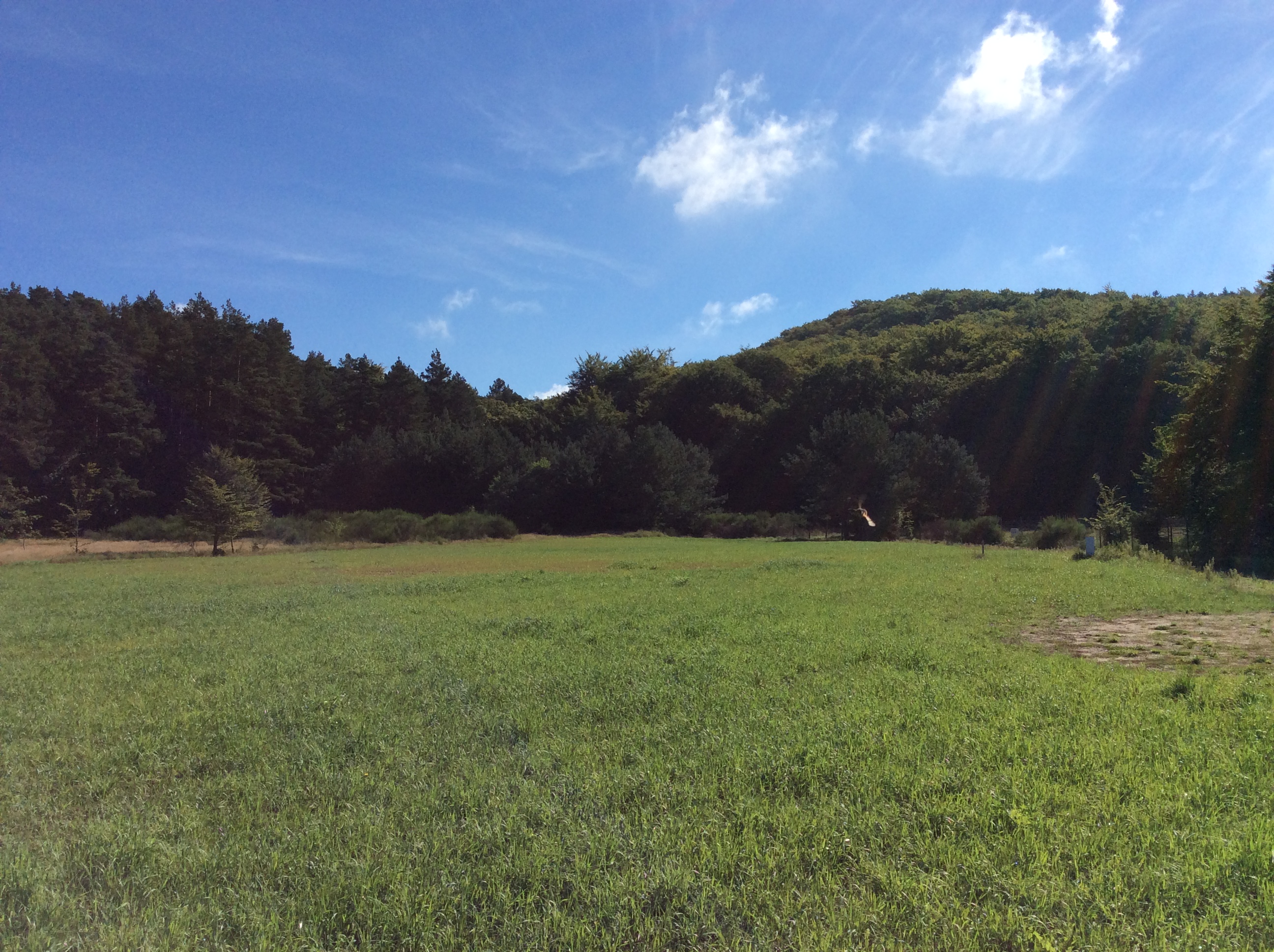 Wohnmobilstellplatz: Stellplatz Lubkowo bei Wojtek - Lubkowo by Wojtek