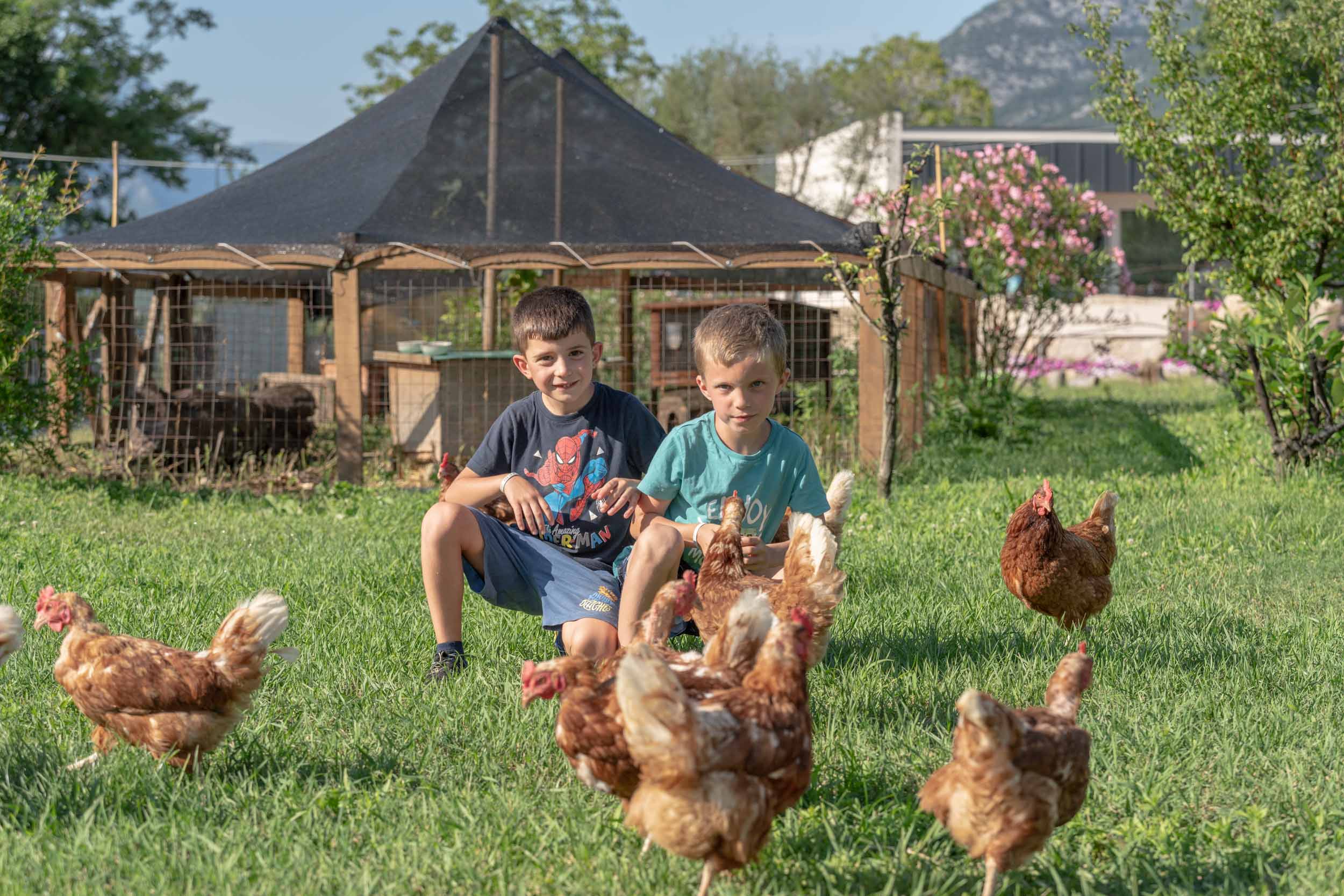 Wohnmobilstellplatz: Hühner spenden ihre Eier! - Agricamping agrisalus