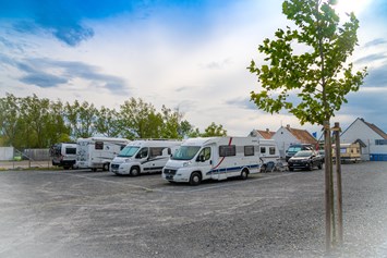 Wohnmobilstellplatz: CamÖ Camping Mörbisch am Neusiedlersee