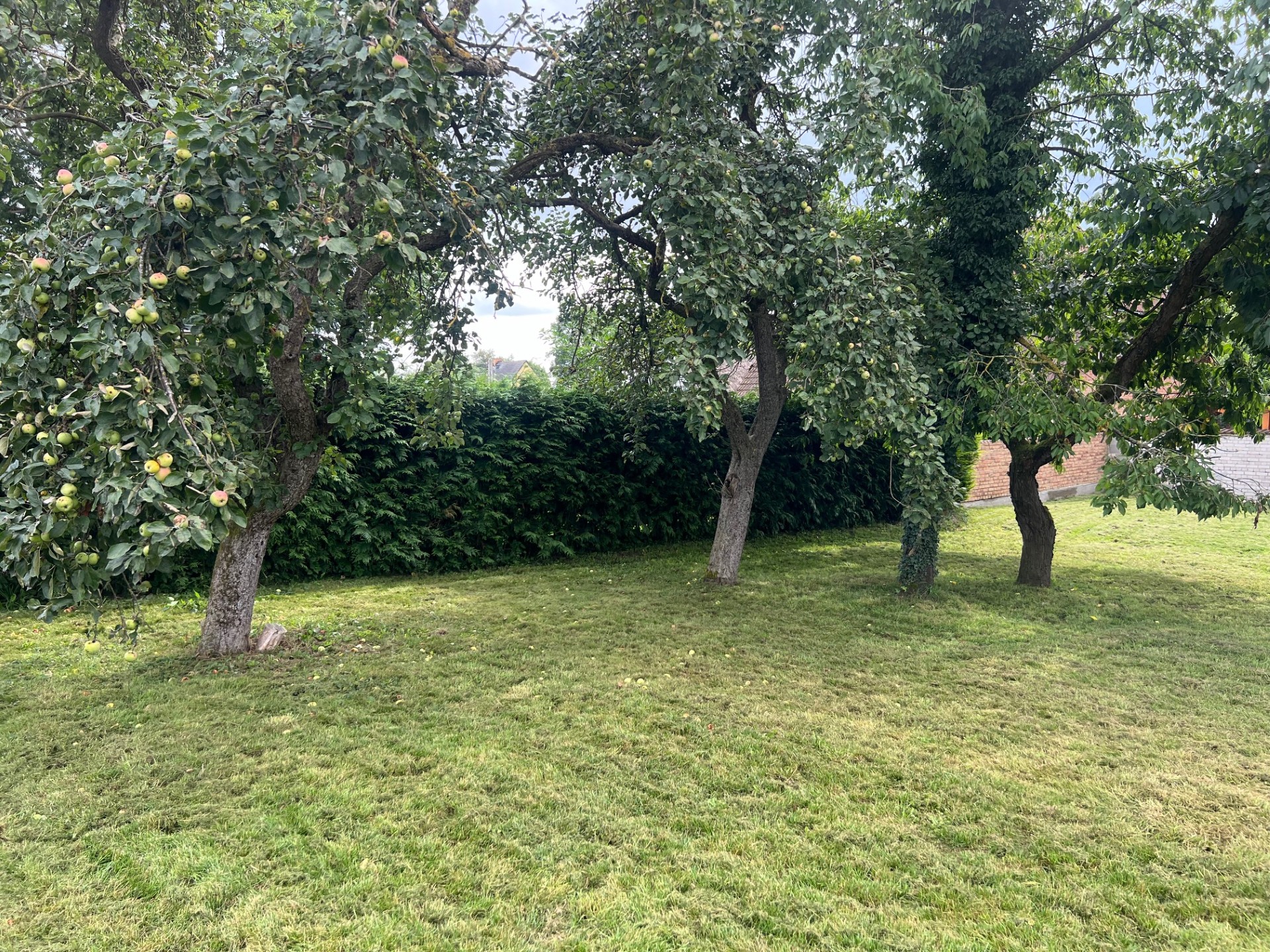 Wohnmobilstellplatz: Ein Traum auf Usedom am Achterwasser!
