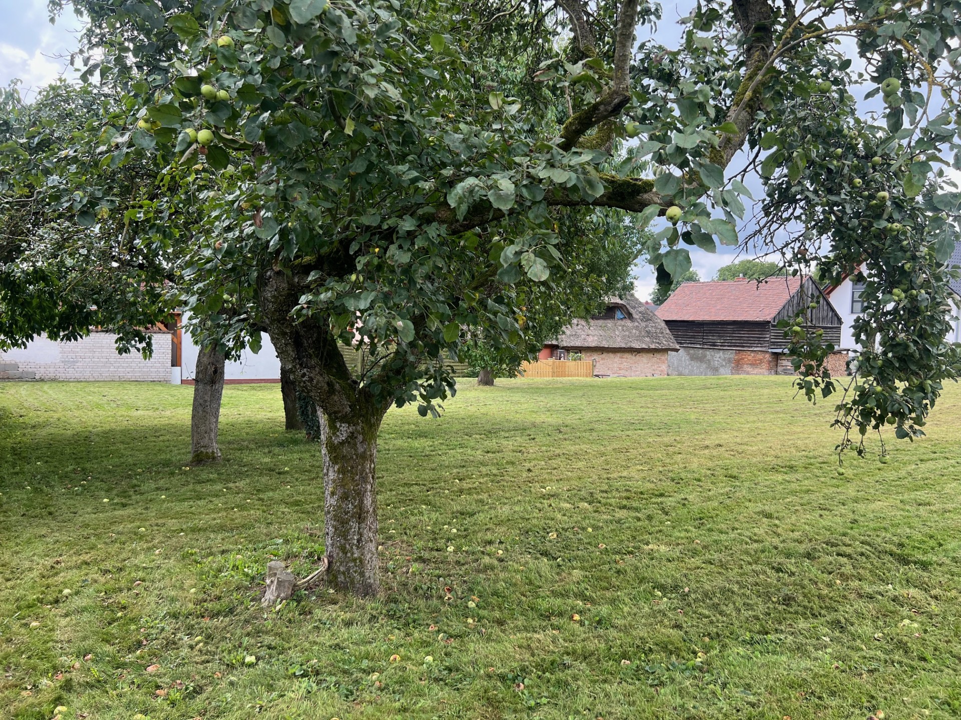 Wohnmobilstellplatz: Ein Traum auf Usedom am Achterwasser!