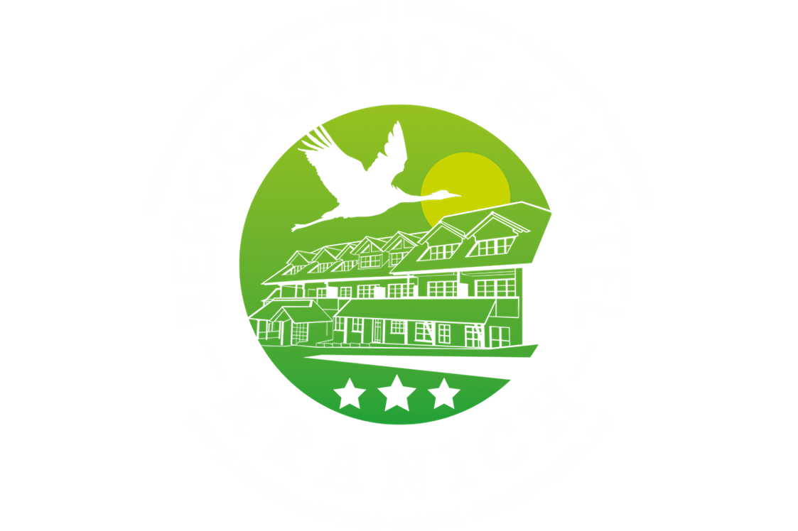 Wohnmobilstellplatz: Berggasthof & Hotel Kranich 