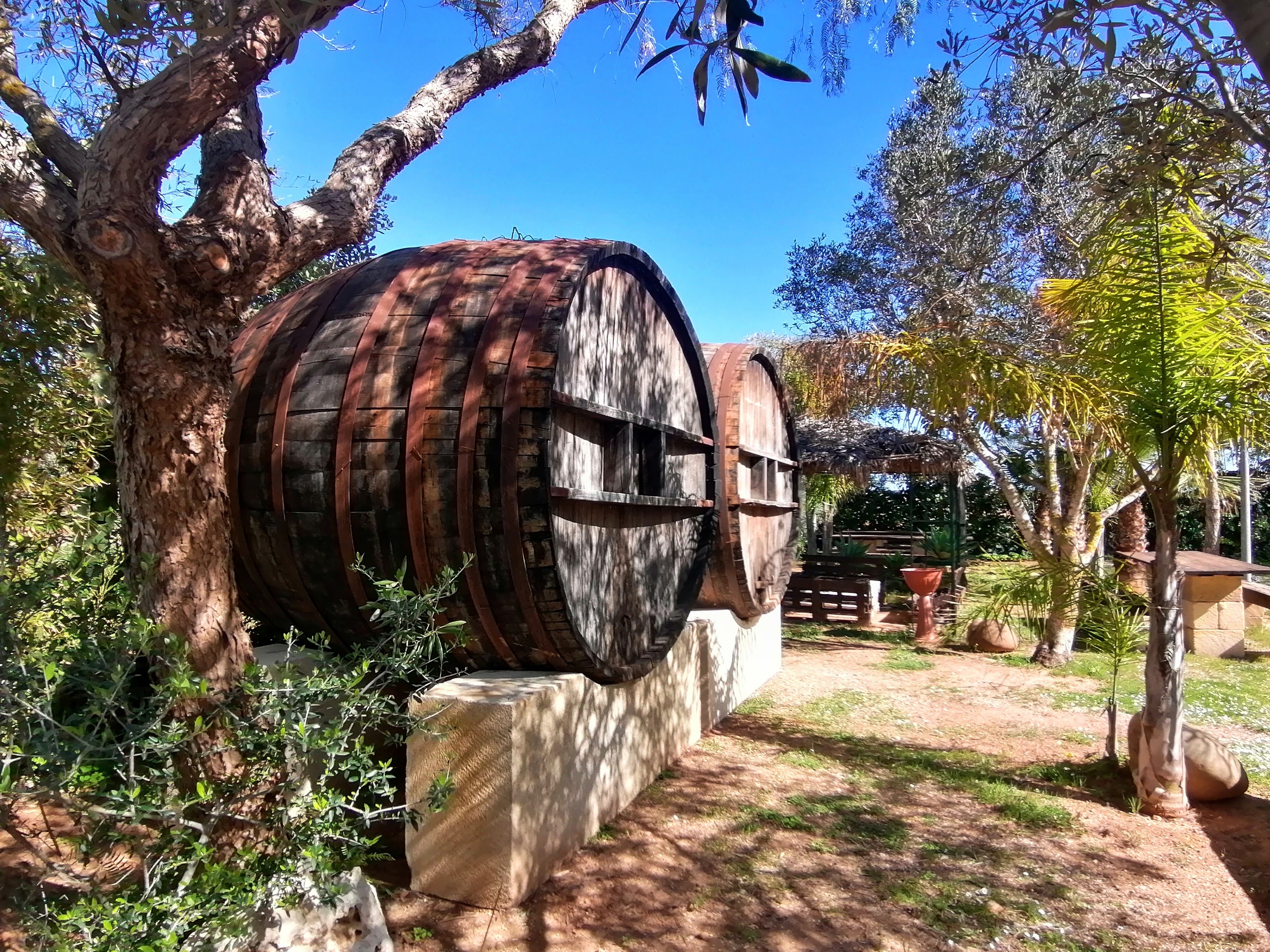 Wohnmobilstellplatz: Picnic Zone - Campingplatz Lilybeo Village
