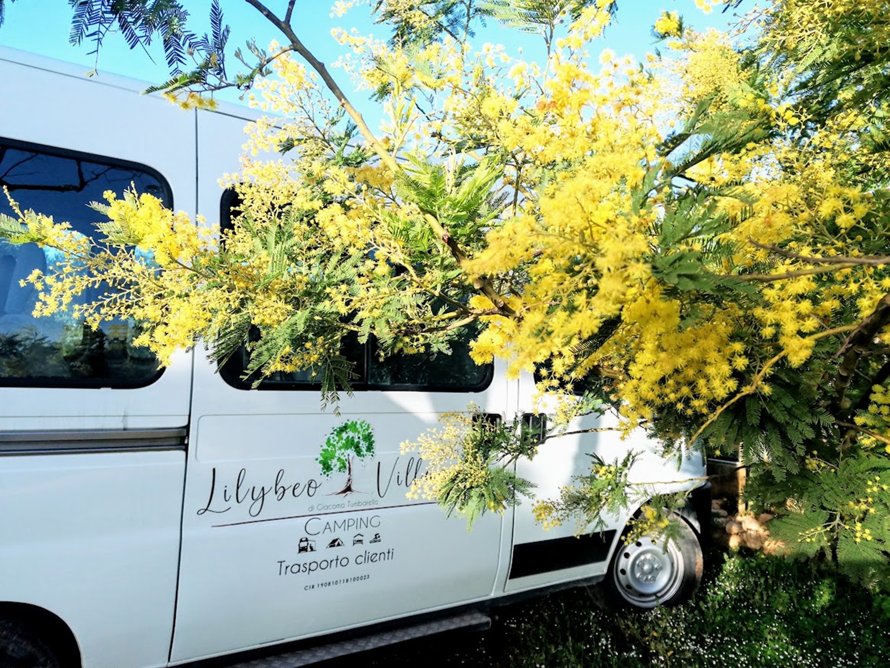 Wohnmobilstellplatz: Lilybeo Village - Camping & Residence
