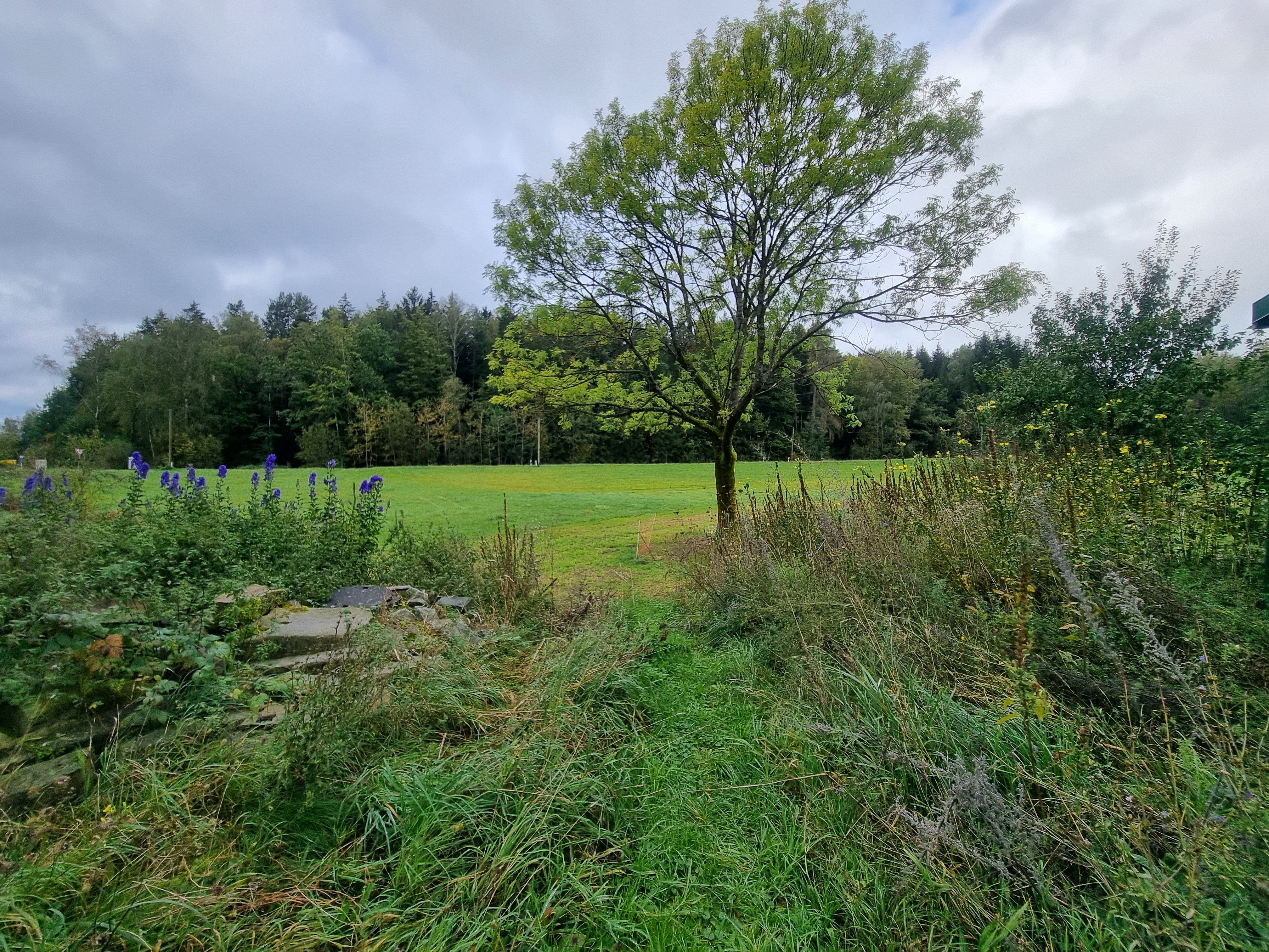 Wohnmobilstellplatz: Kühriedermühle Campen und Fischen