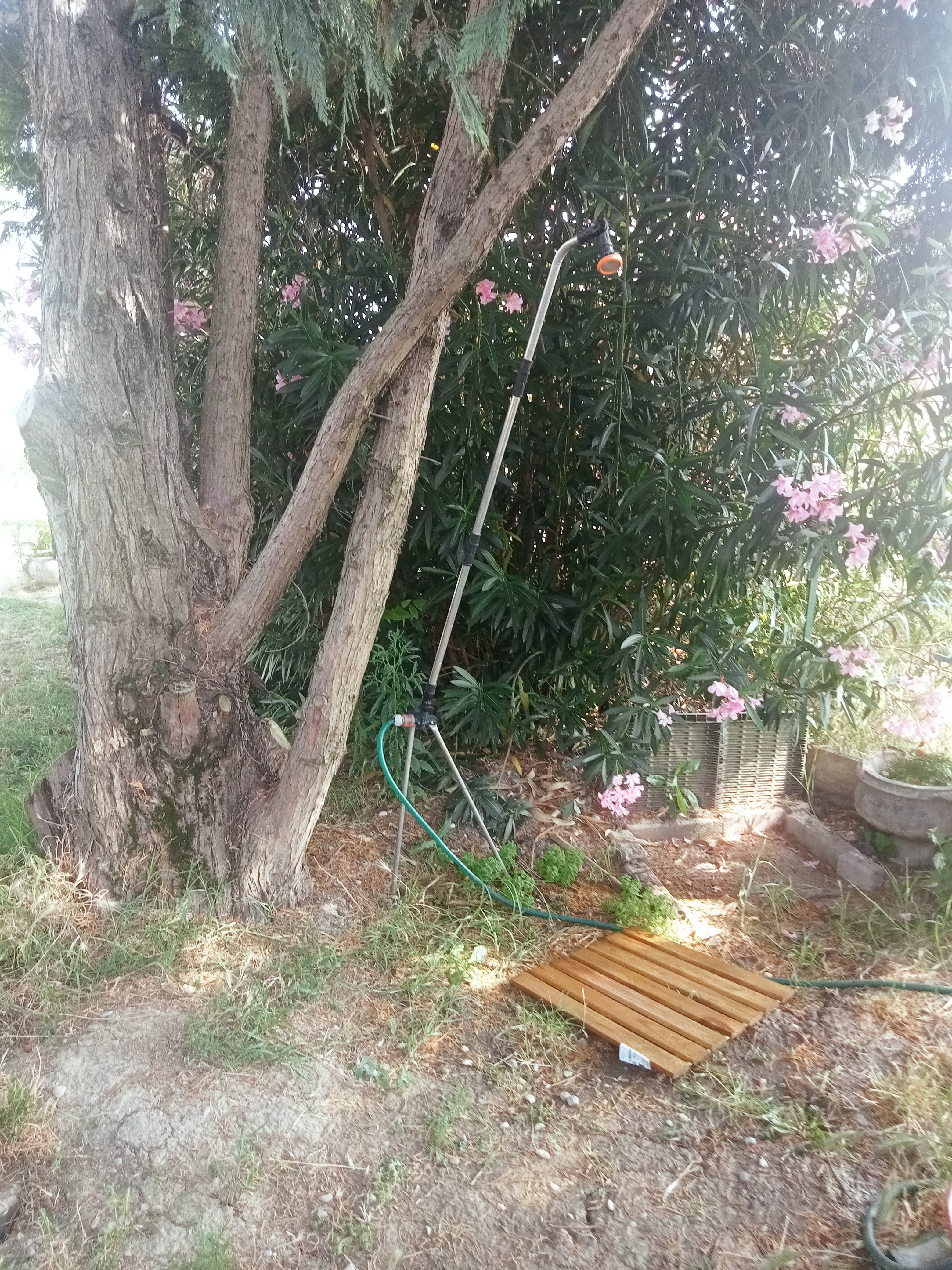 Place de parking pour camping-car - Émilie-Romagne - doccia esterna fredda - Il Prugno Contorto