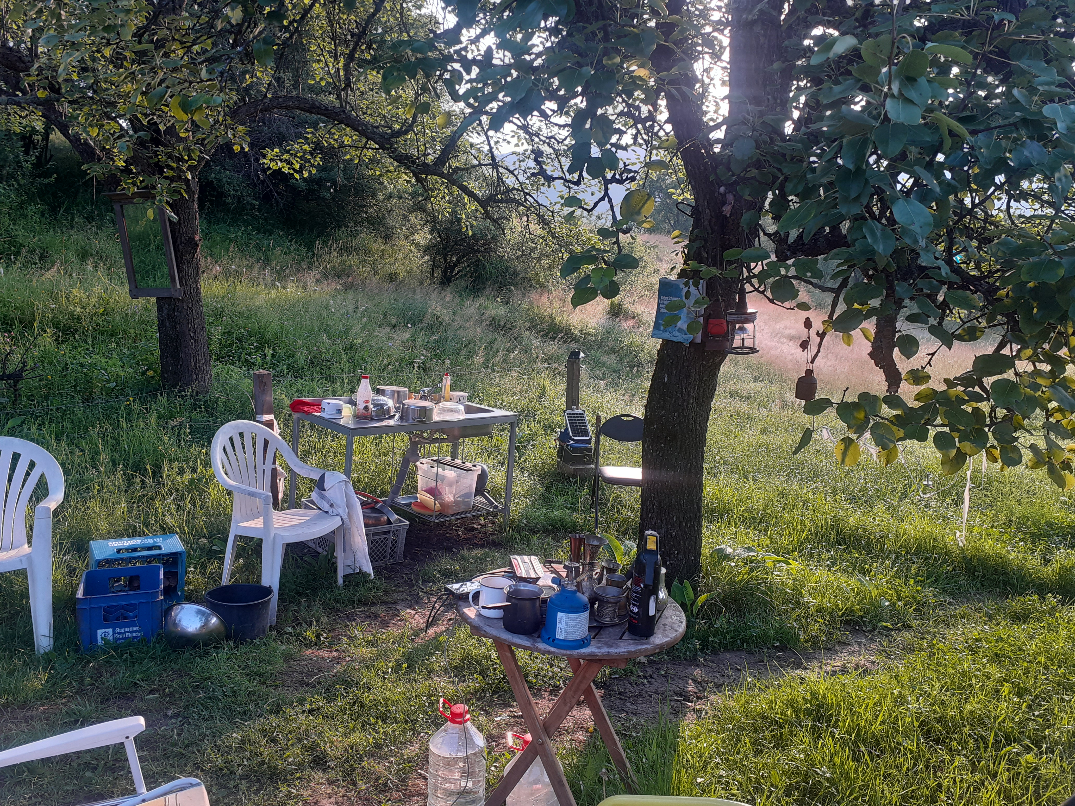 Wohnmobilstellplatz: Camping Schloß Dracula