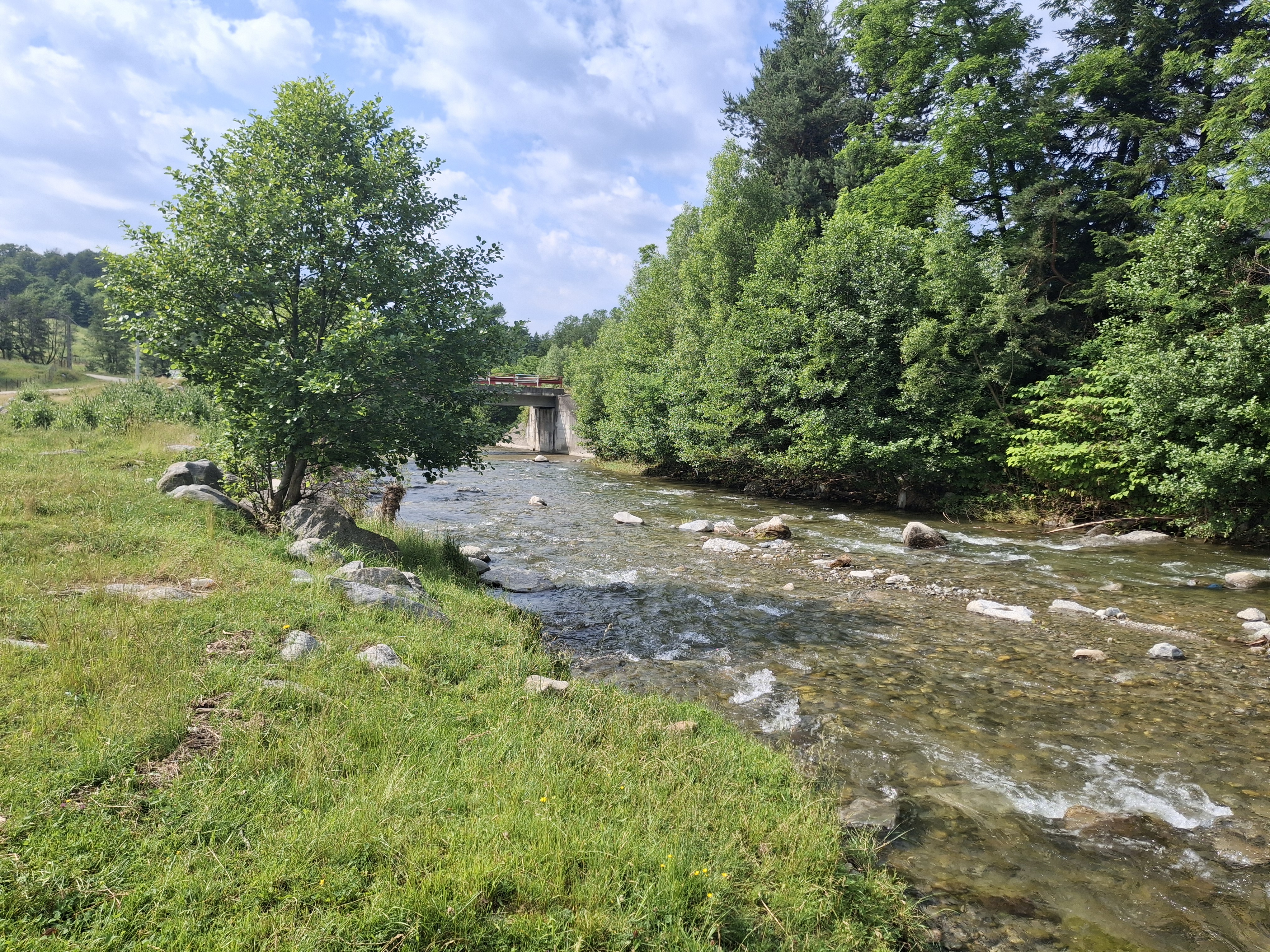 Wohnmobilstellplatz: Camping Schloß Dracula