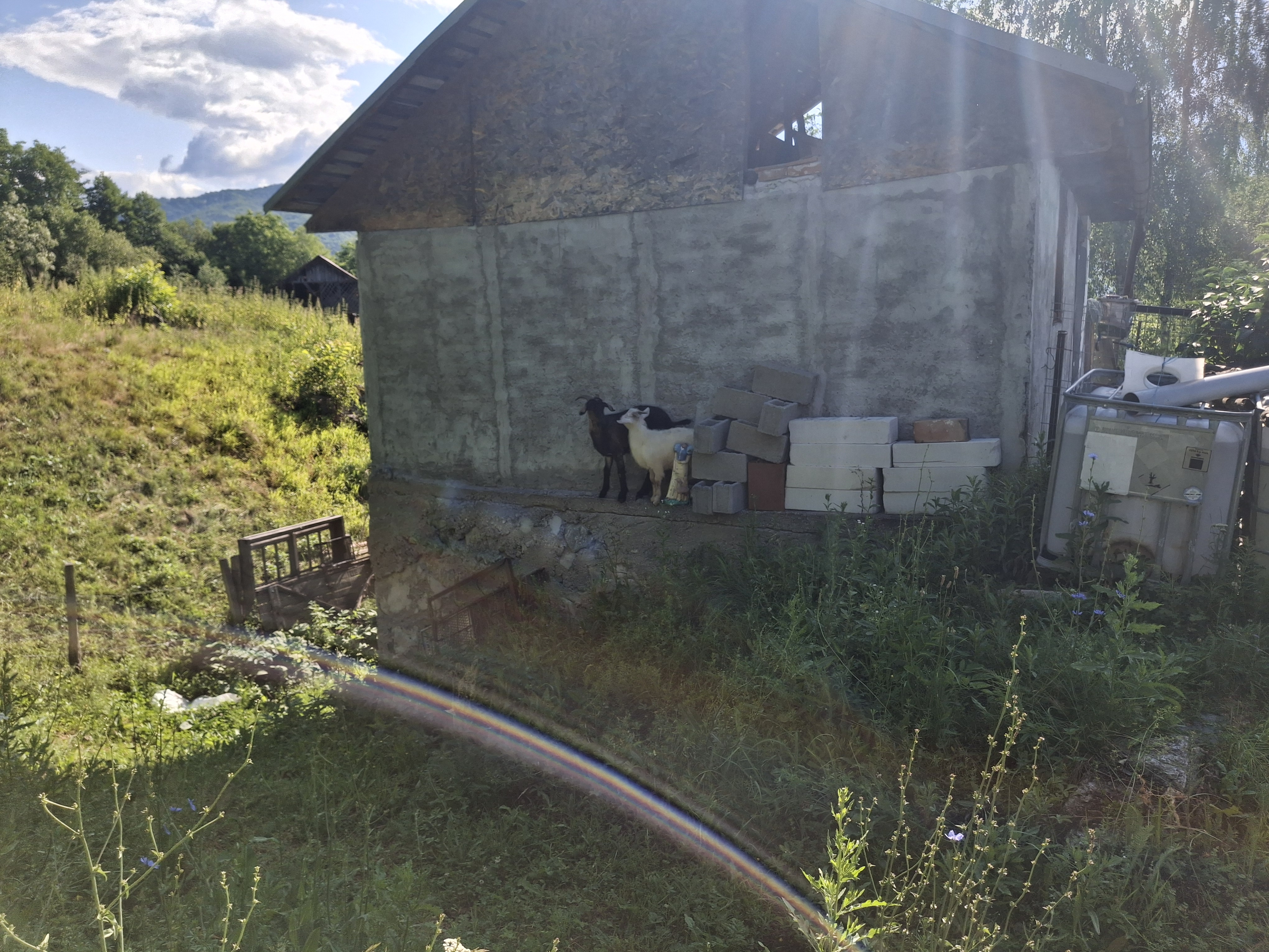 Wohnmobilstellplatz: Camping Schloß Dracula