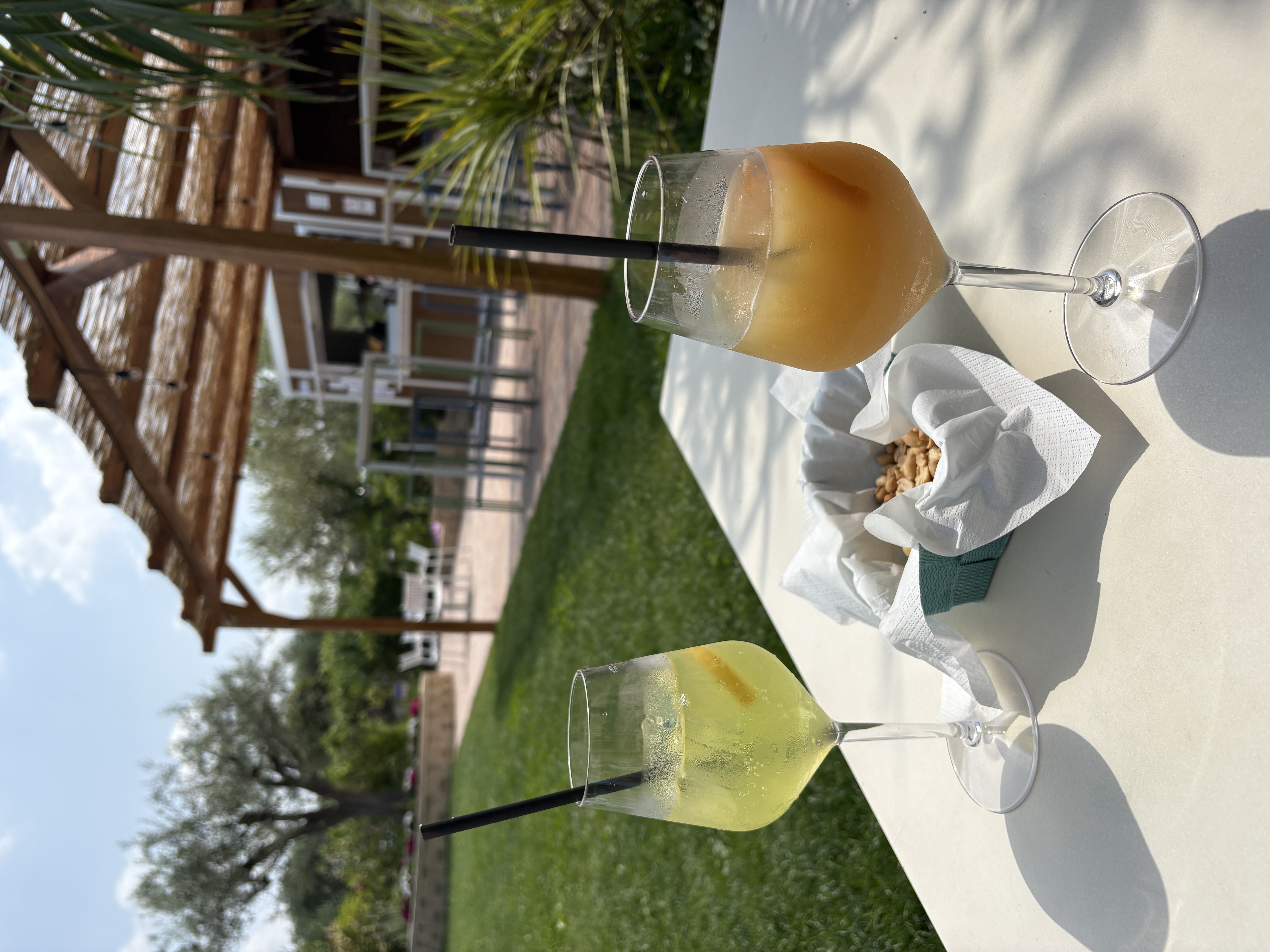 Wohnmobilstellplatz: Poolbar - Landwirtschaftscamping Oasi del Garda