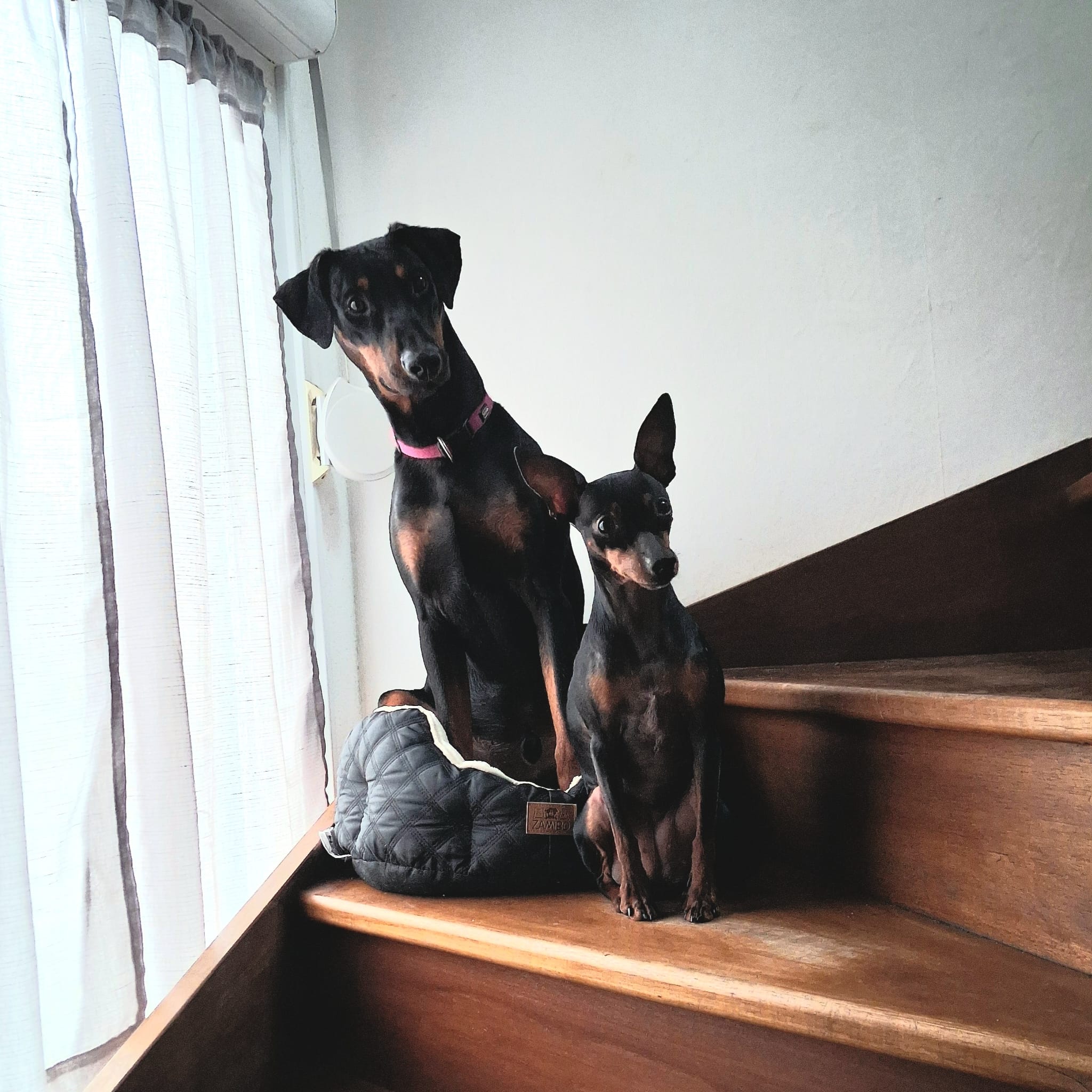 Reisemobilstellplatz: Paco und Vivi - Marina Corre BOATING & CAMPING