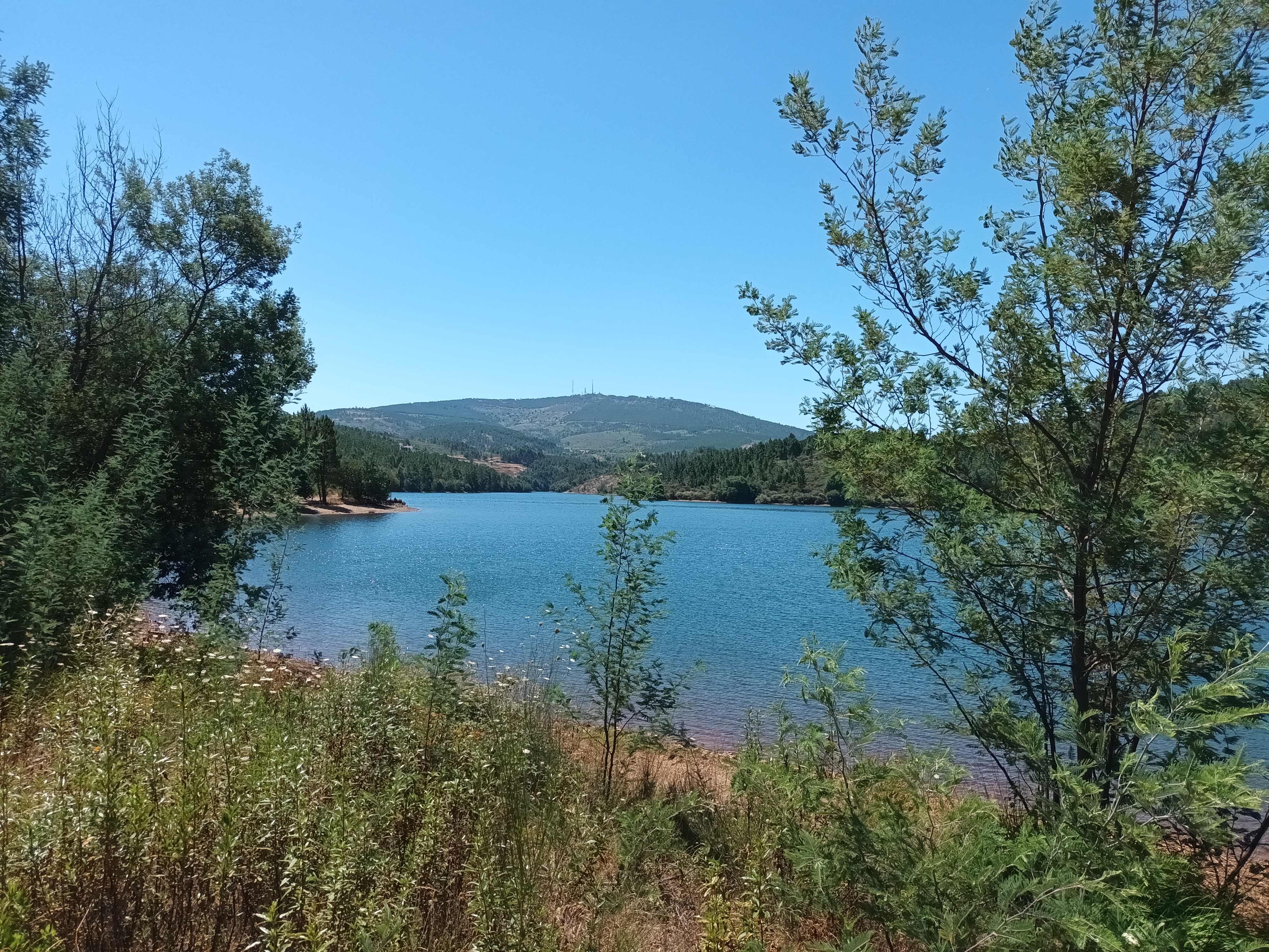 Wohnmobilstellplatz: See in der Nähe zum Wandern und Schwimmen - Camping Asseiceira  - Freizeit