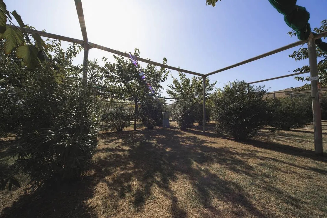 Reisemobilstellplatz - Reiten - Piazzole ampie 8x12 m circa con ombreggiante provviste di acqua potabile, corrente e full-service (scarico acque grigie e nere in piazzola) nel caso dei camper. Prezzo base include 2 persone  anni. Possibilità di aggiungere altre 5 persone con supplemento da listino. - Heliopolis Camping & Village