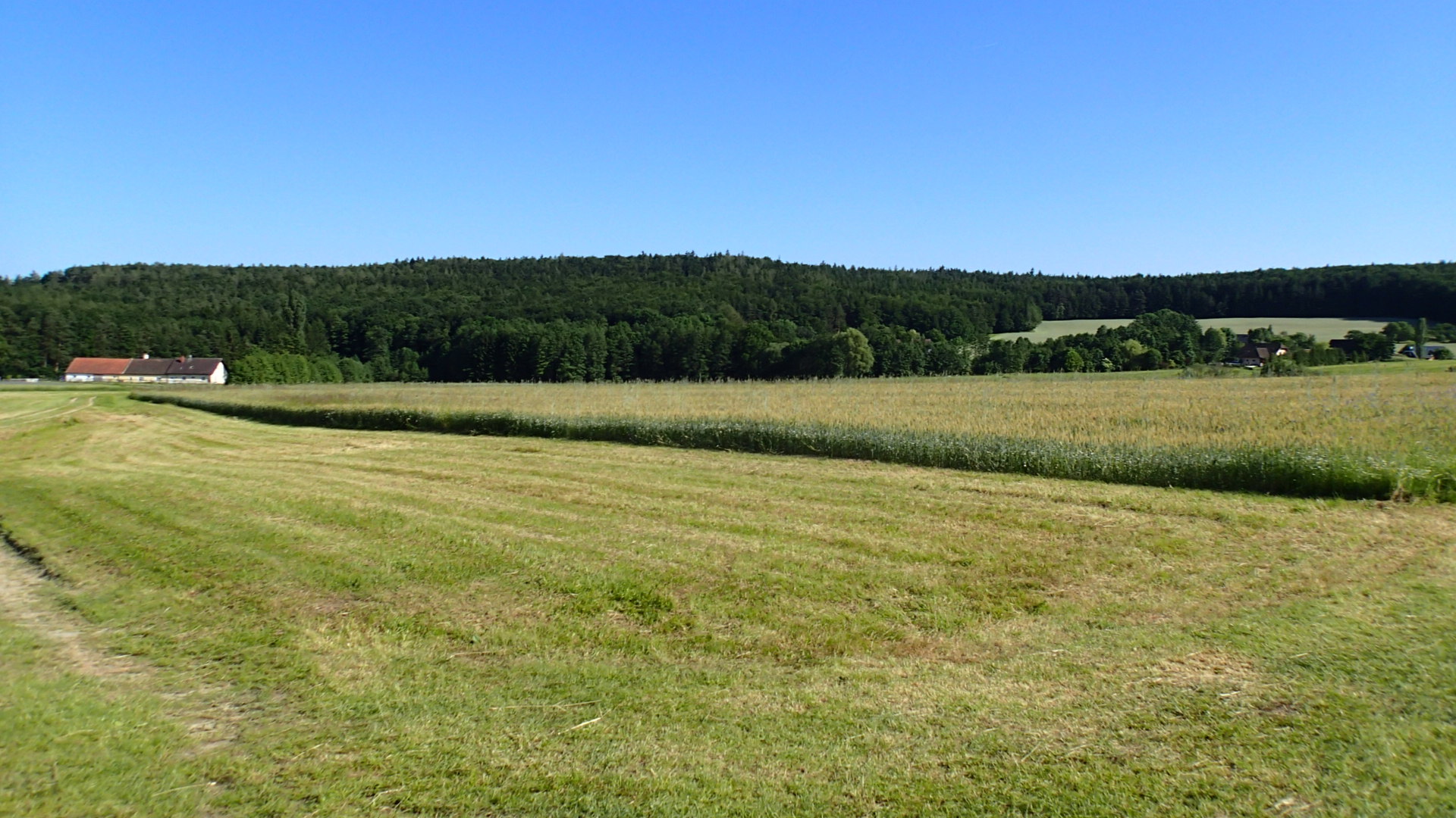 Reisemobilstellplatz - PLZ 3914 (Österreich) - LUPOLAND - wundervolle Einzellage, einzigartiger Sternenhimmel