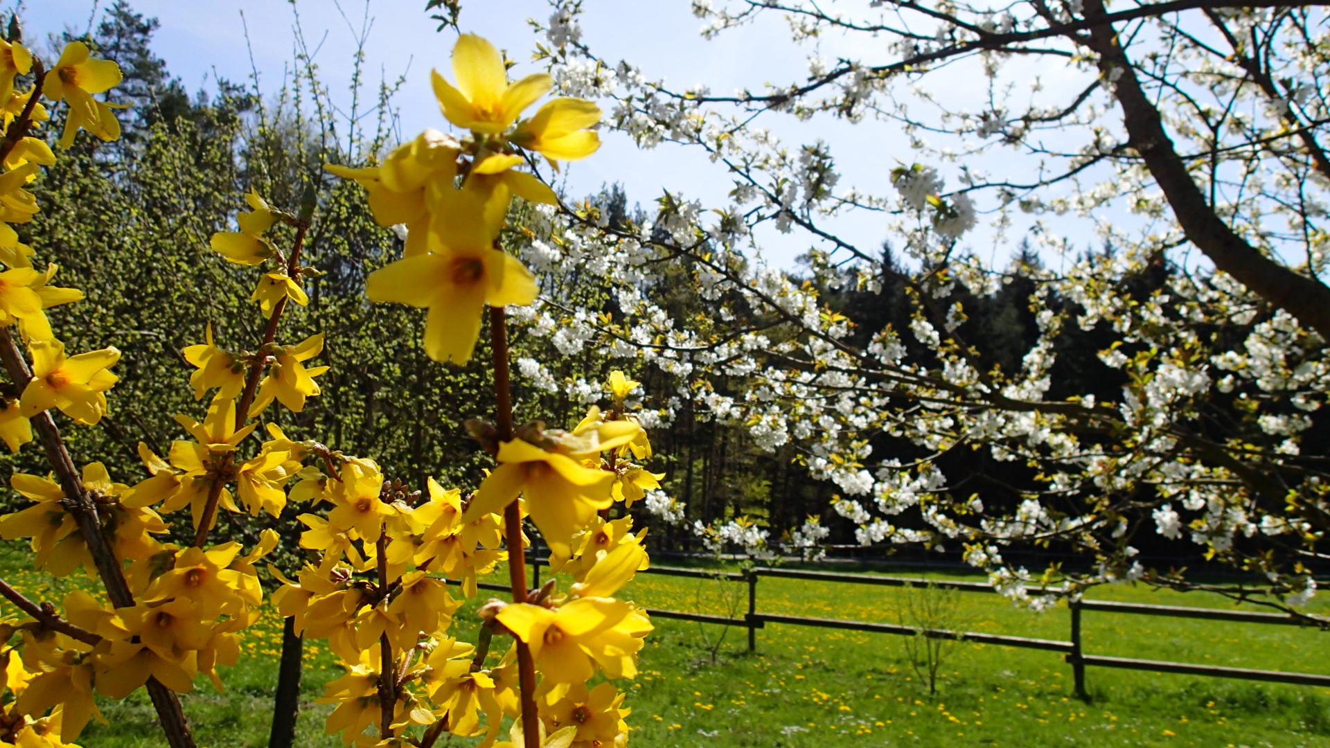 Wohnmobilstellplatz: LUPOLAND - wundervolle Einzellage, einzigartiger Sternenhimmel