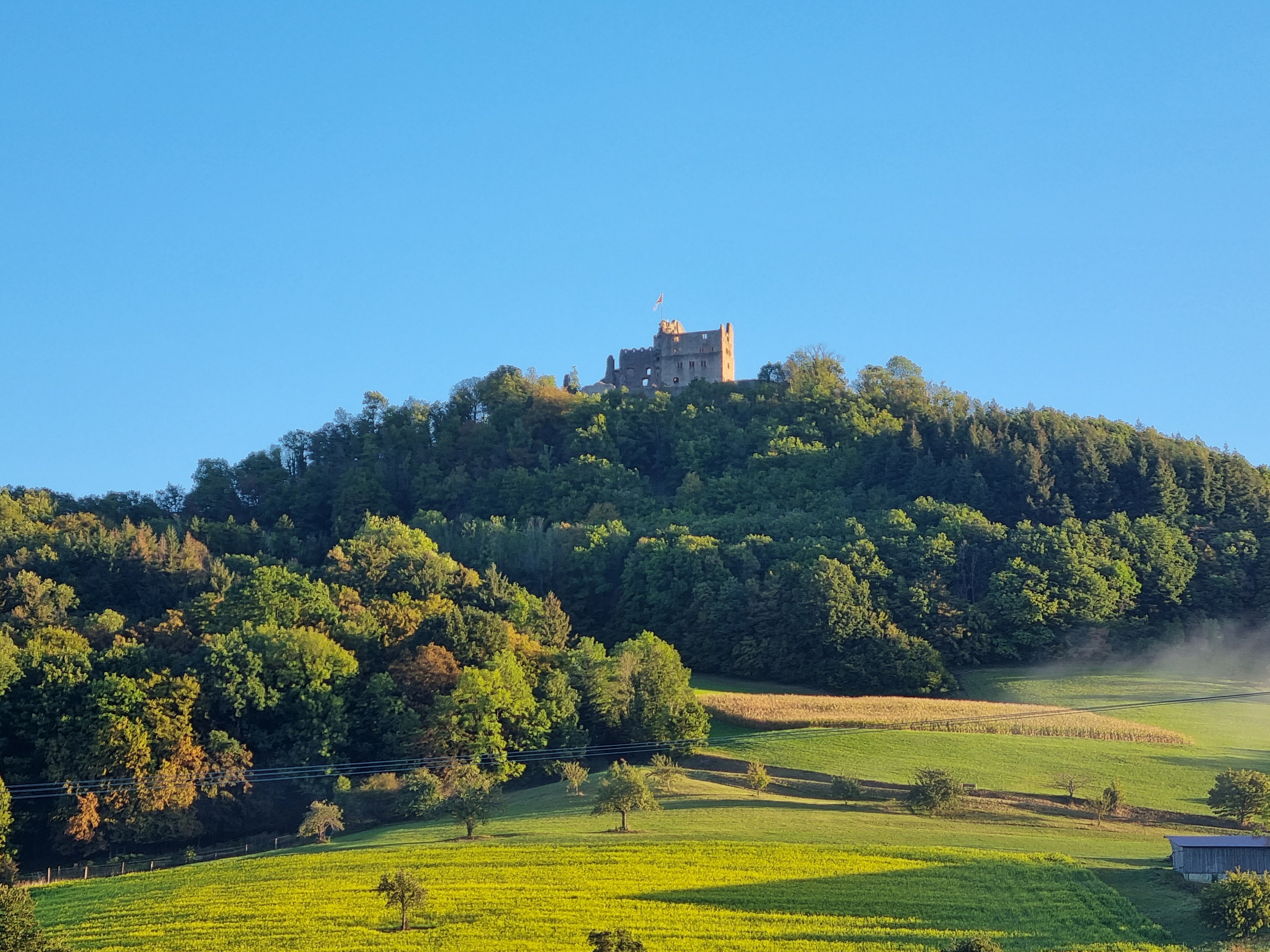 Place de parking pour camping-car - Sauna - Seelbach (Ortenaukreis) - Blick zur Burgruine Geroldseck - Schwarzwaldtannen mit Panoramablick