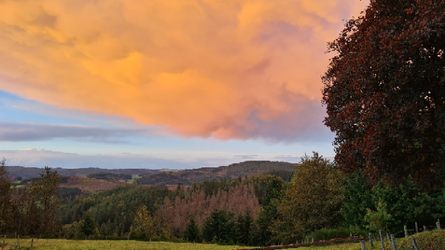 Wohnmobilstellplatz: Blick vom Stellplatz - Landgasthof Restaurant Laibach