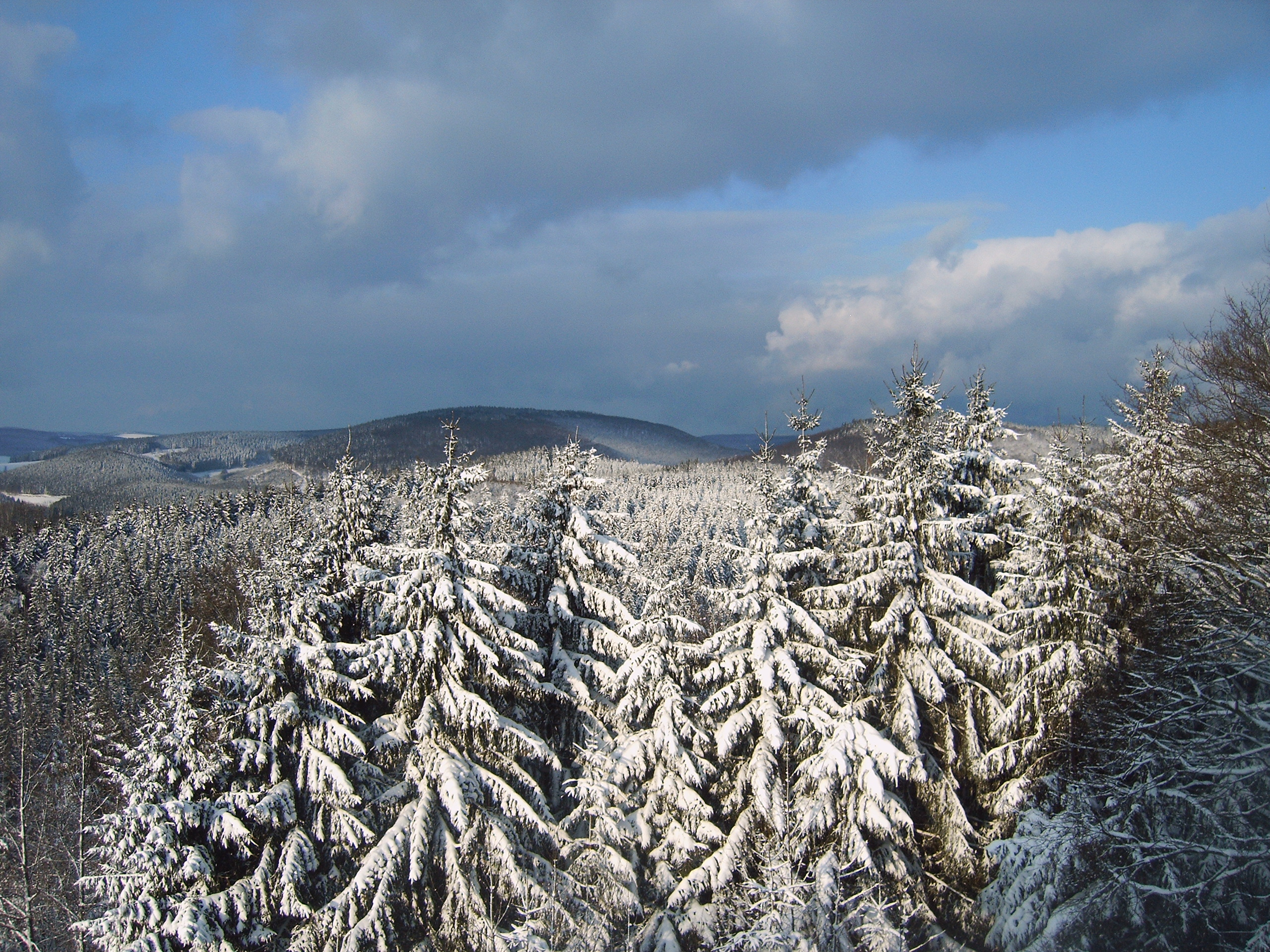 Wohnmobilstellplatz: Blick vom Stellplatz - Landgasthof Restaurant Laibach
