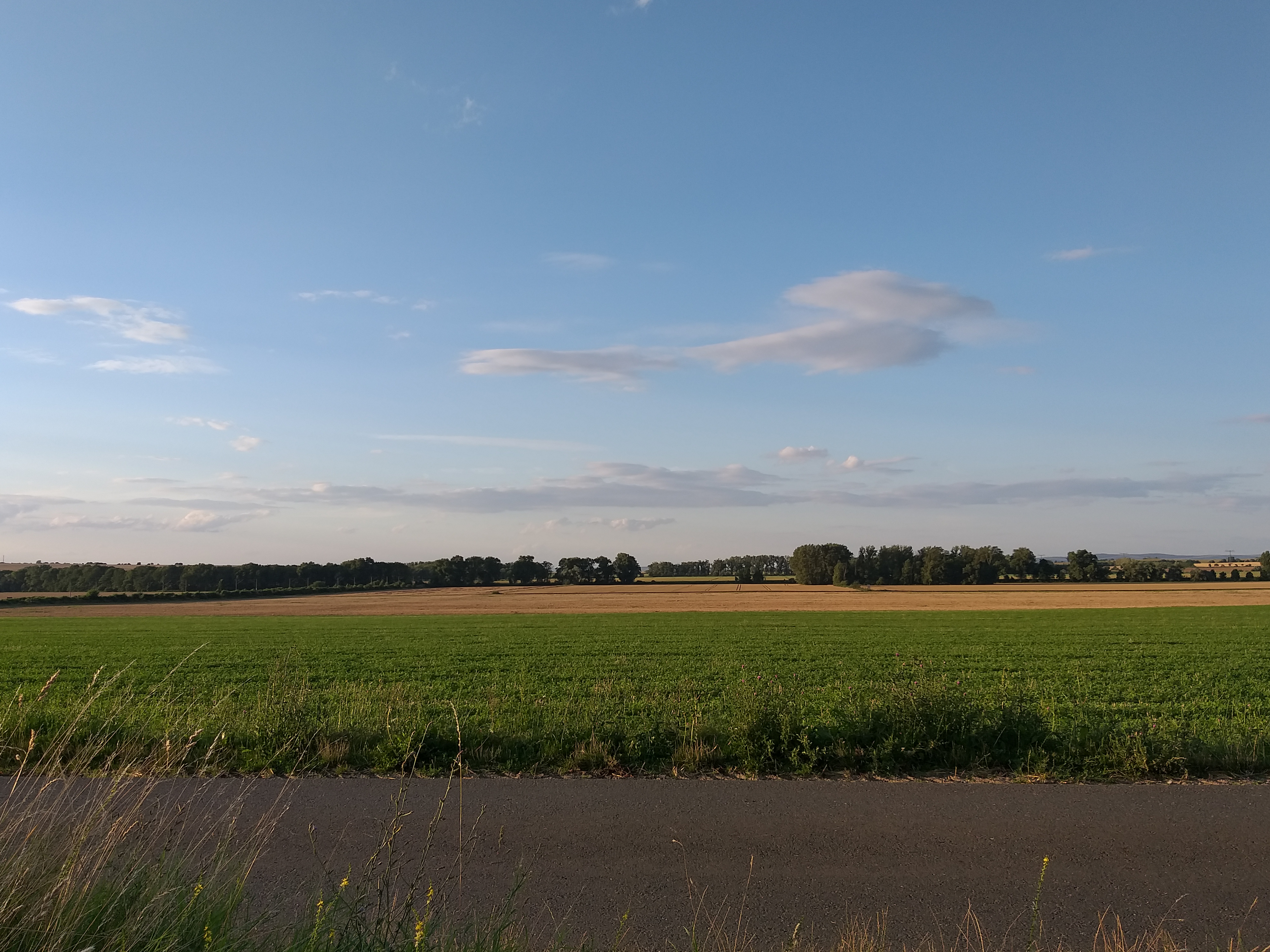 Wohnmobilstellplatz: Aussciht vom Hornsberg, ca. 2km entfernt - Wohnmobilstellplatz am Storchennest Kleinrudestedt - Tempo libero, Vicinanze