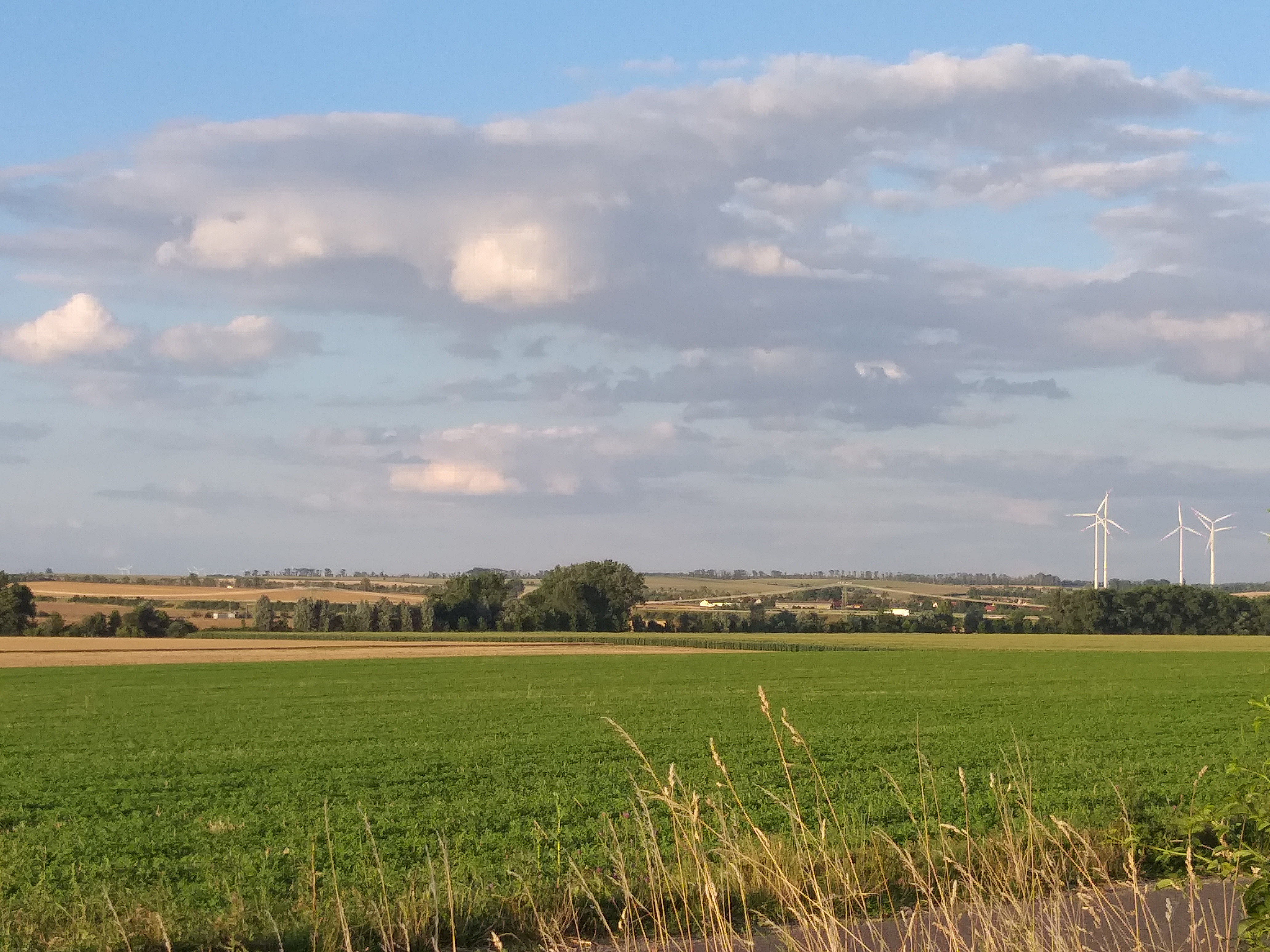 Wohnmobilstellplatz: Aussciht vom Hornsberg, ca. 2km entfernt - Wohnmobilstellplatz am Storchennest Kleinrudestedt - Tempo libero, Vicinanze