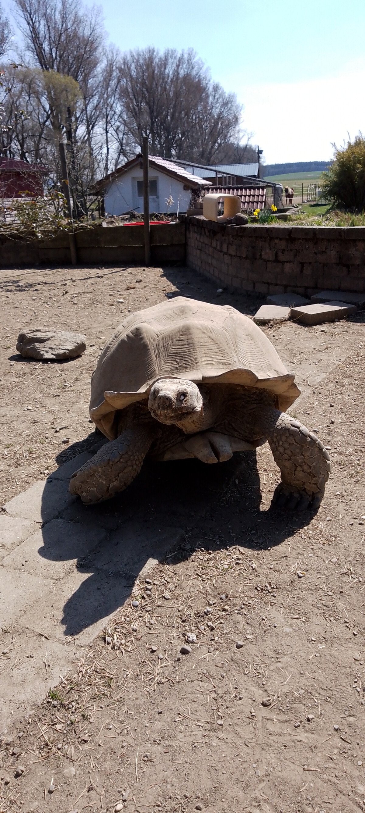 Wohnmobilstellplatz: Erlebnis Stellplatz für Groß und Klein auf dem Müllerhof - Vicinity