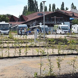 Wohnmobilstellplatz: Wohnmobilstellplatz "Am Pflegerspitz"