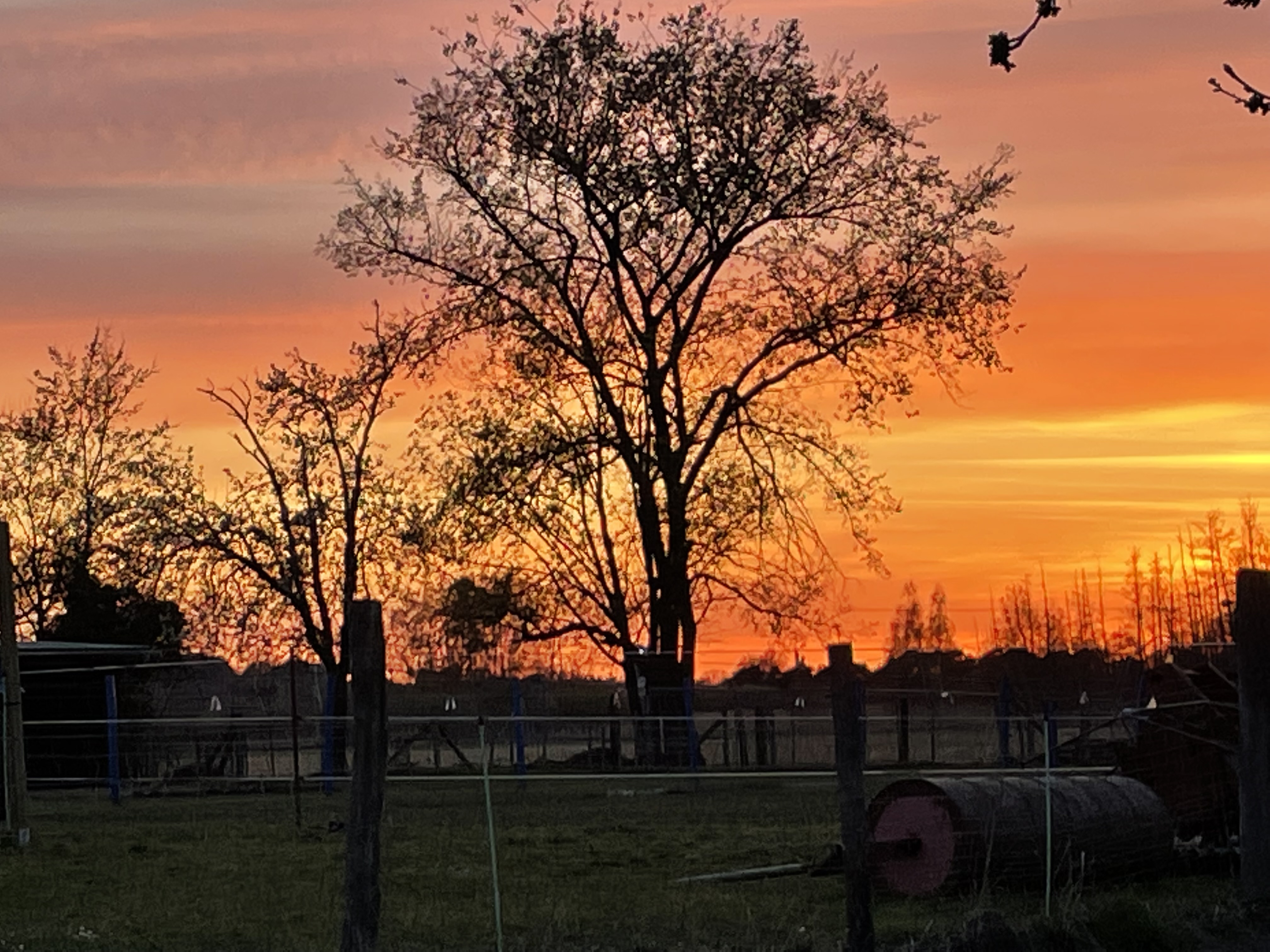 Wohnmobilstellplatz: Campen in Potsdam - Naturnah am Jubelitzsee