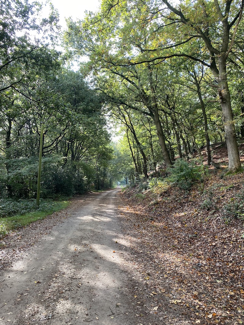 Wohnmobilstellplatz: Micro Camping Meyer