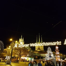 Wohnmobilstellplatz: Wohnmobilstellplätze am Storchennest mit Busverbindung vorm Haus