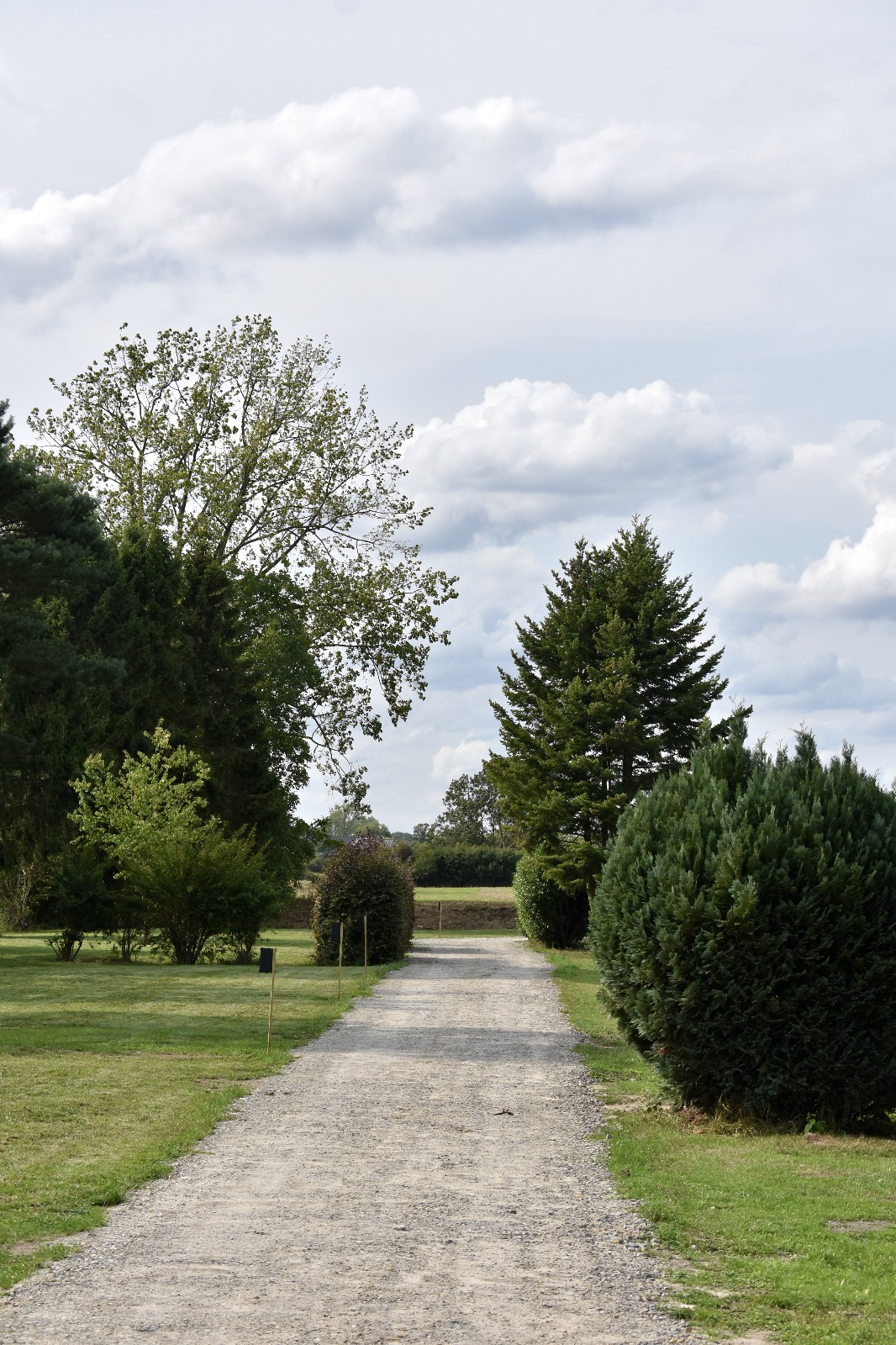 Wohnmobilstellplatz: Naturresort Weserinsel - área