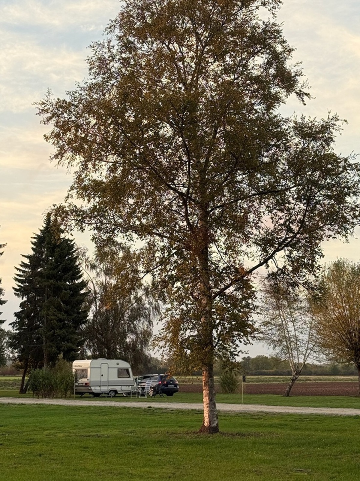 Wohnmobilstellplatz: Naturresort Weserinsel - Parcelas