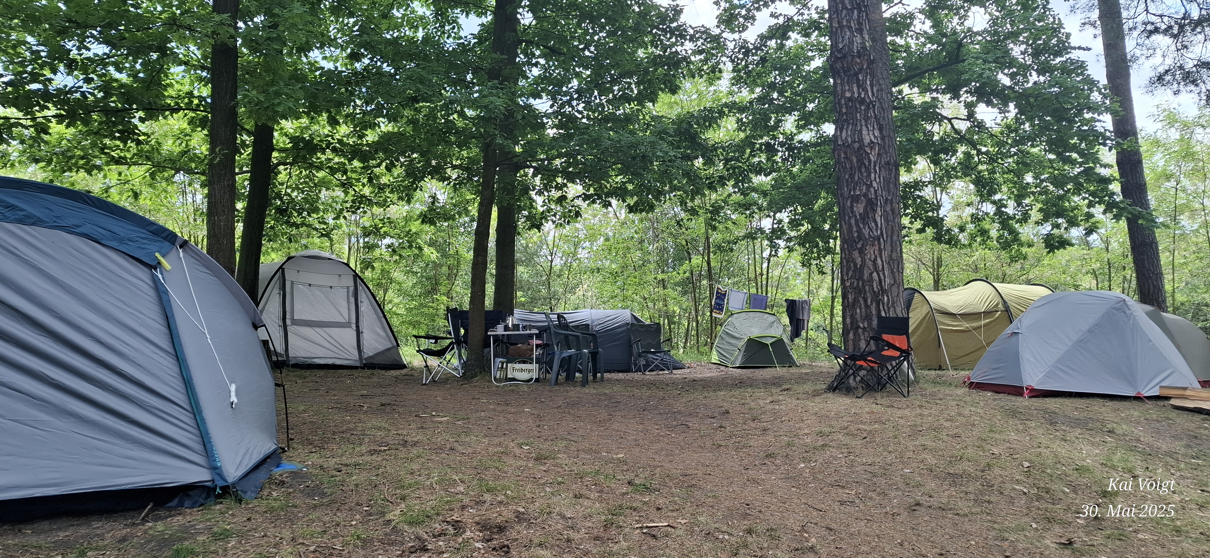 Reisemobilstellplatz - Lausitzer Seenland - Hinterer Camp- Bereich für Zelte - Camping im Waldbad