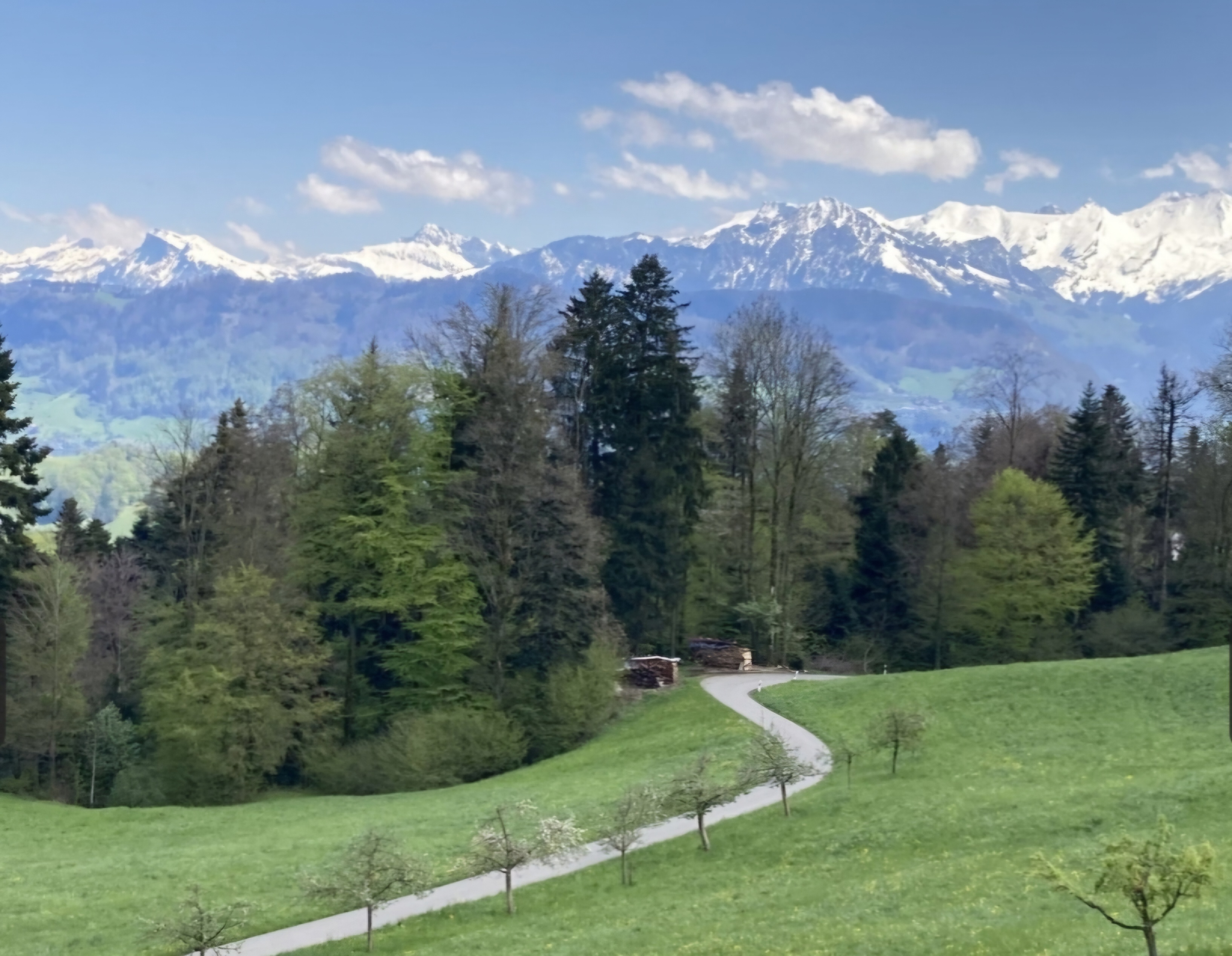 kampeerplaats voor campers - Morschach - Camp - Camp Höllhof-Camper van spot Forest Edge