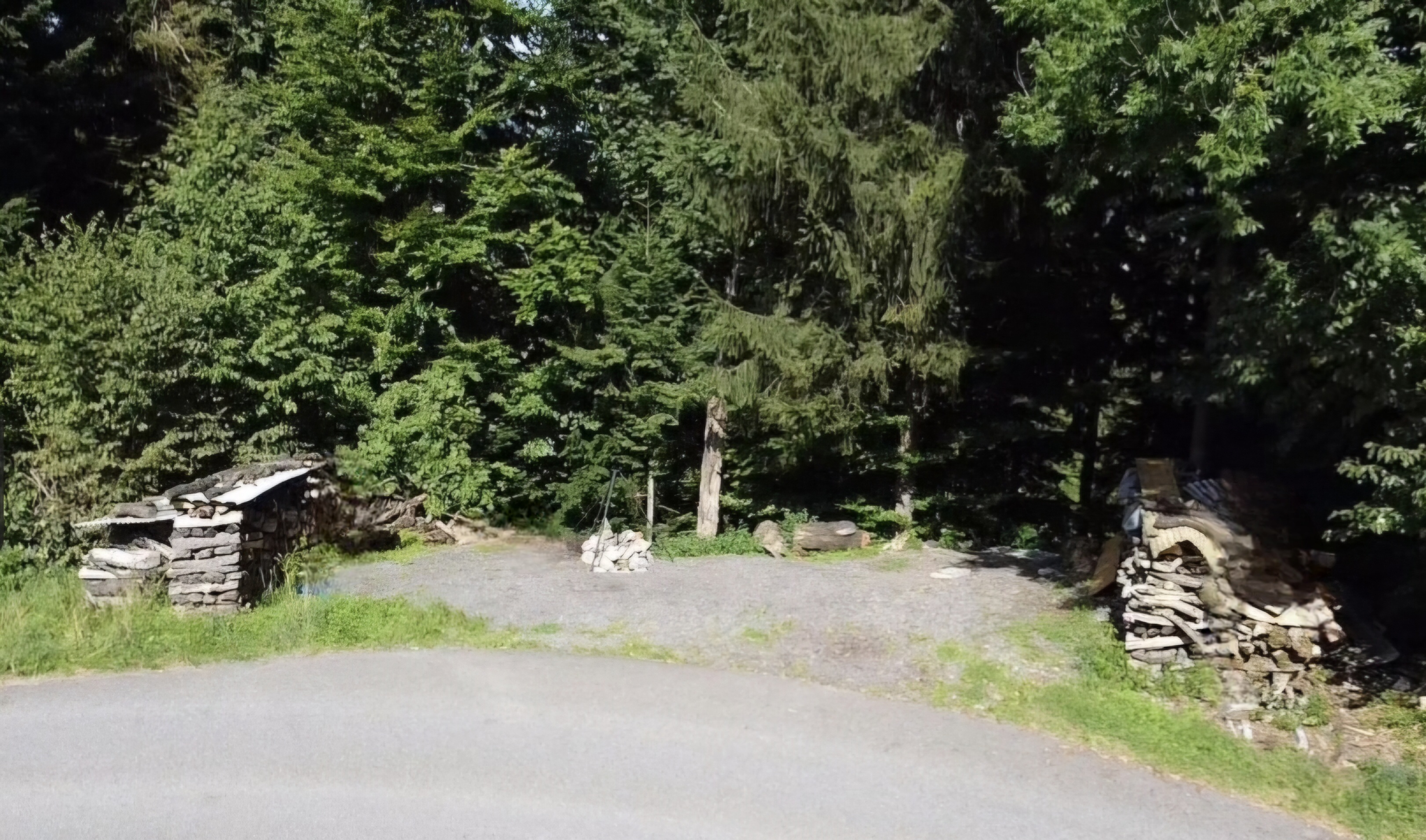 kampeerplaats voor campers - Morschach - Camp - Camp Höllhof-Camper van spot Forest Edge