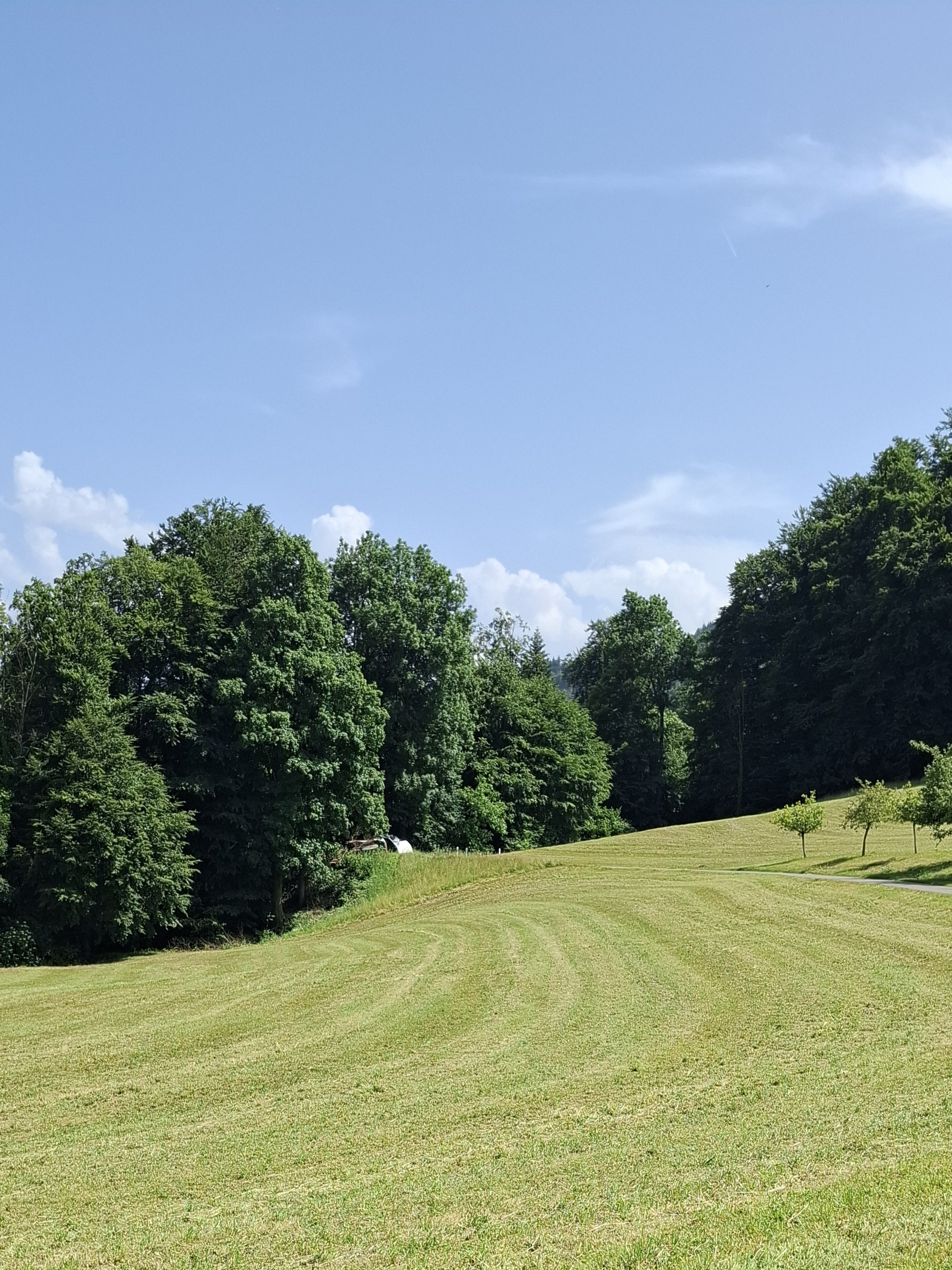 Wohnmobilstellplatz: Umgebung - Campervan pitch Höllhof-Forest Edge  - Infrastruktur