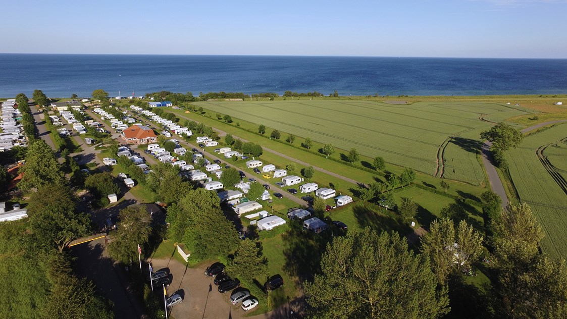 Wohnmobilstellplatz: linke Reihe: Wohnmobilplätze innen - Ostsee Camping Rosenfelder Strand