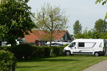 Wohnmobilstellplatz: Wohnmobilplätze innen - Ostsee Camping Rosenfelder Strand