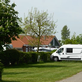 Wohnmobilstellplatz: Wohnmobilplätze innen - Rosenfelder Strand Ostsee Camping