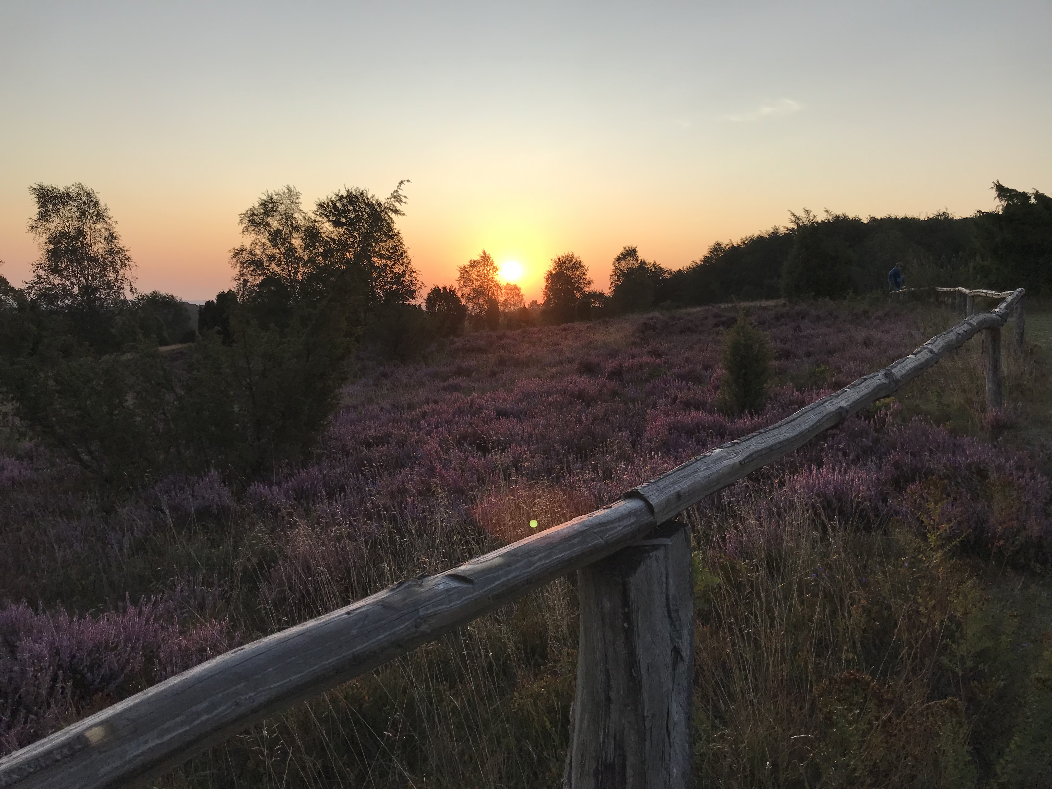 Wohnmobilstellplatz: Wilseder Berg bei Sonnenaufgang - Stellplatz am Birkensee, Bauernhof, Lüneburger Heide, Schneverdingen, Soltau, Pietzmoor