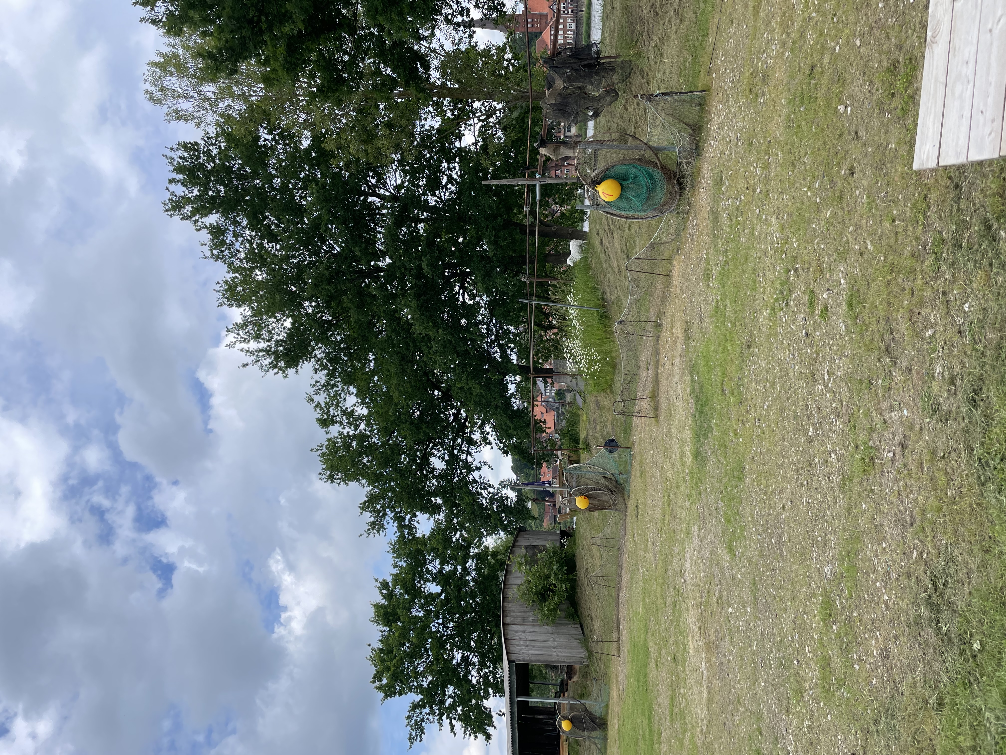 Place de parking pour camping-car - Artlenburg - Panorama Elbblick Stellplatz Hohnstorf/Elbe