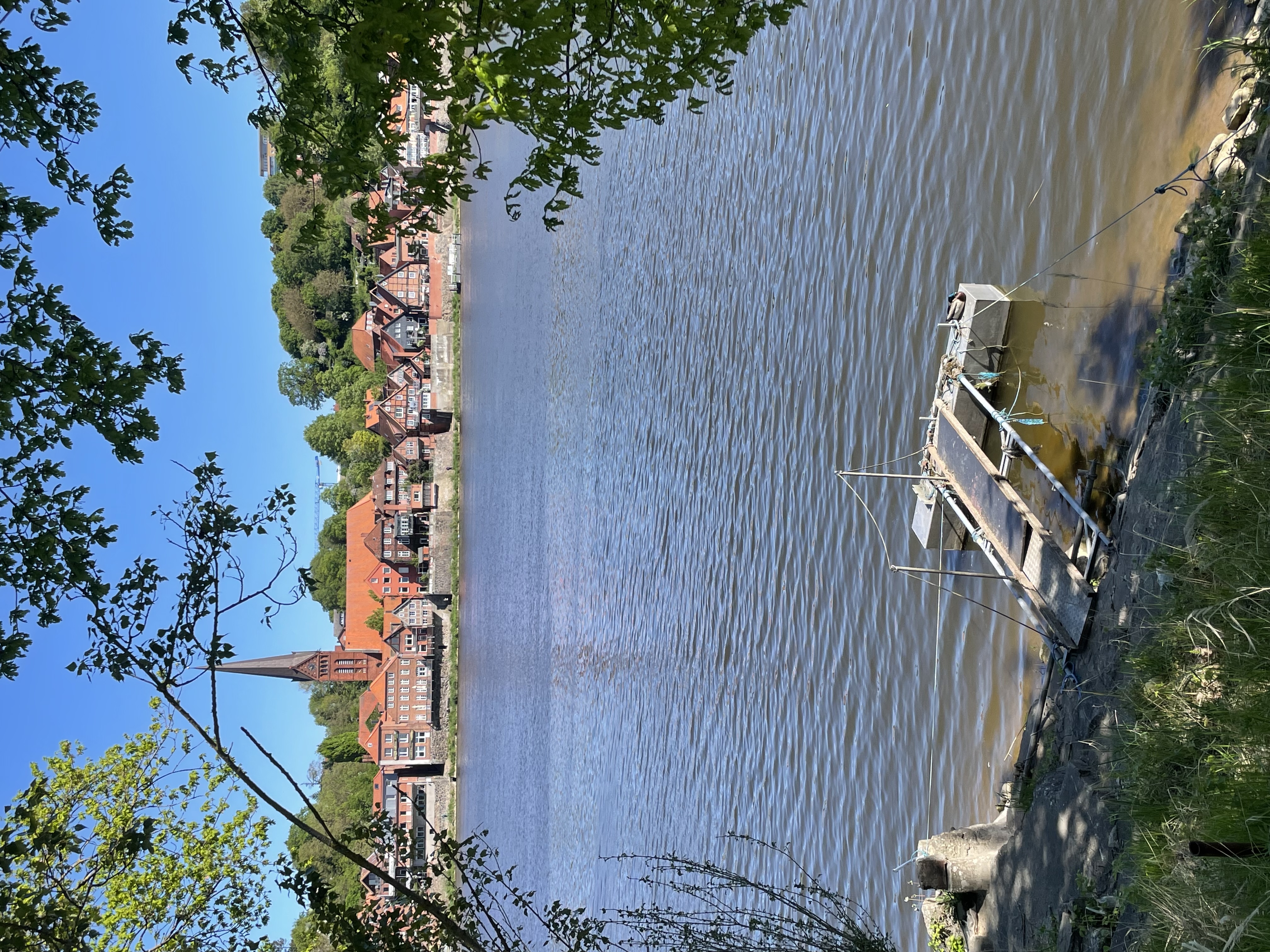 Wohnmobilstellplatz: Panorama Elbblick Stellplatz Hohnstorf/Elbe