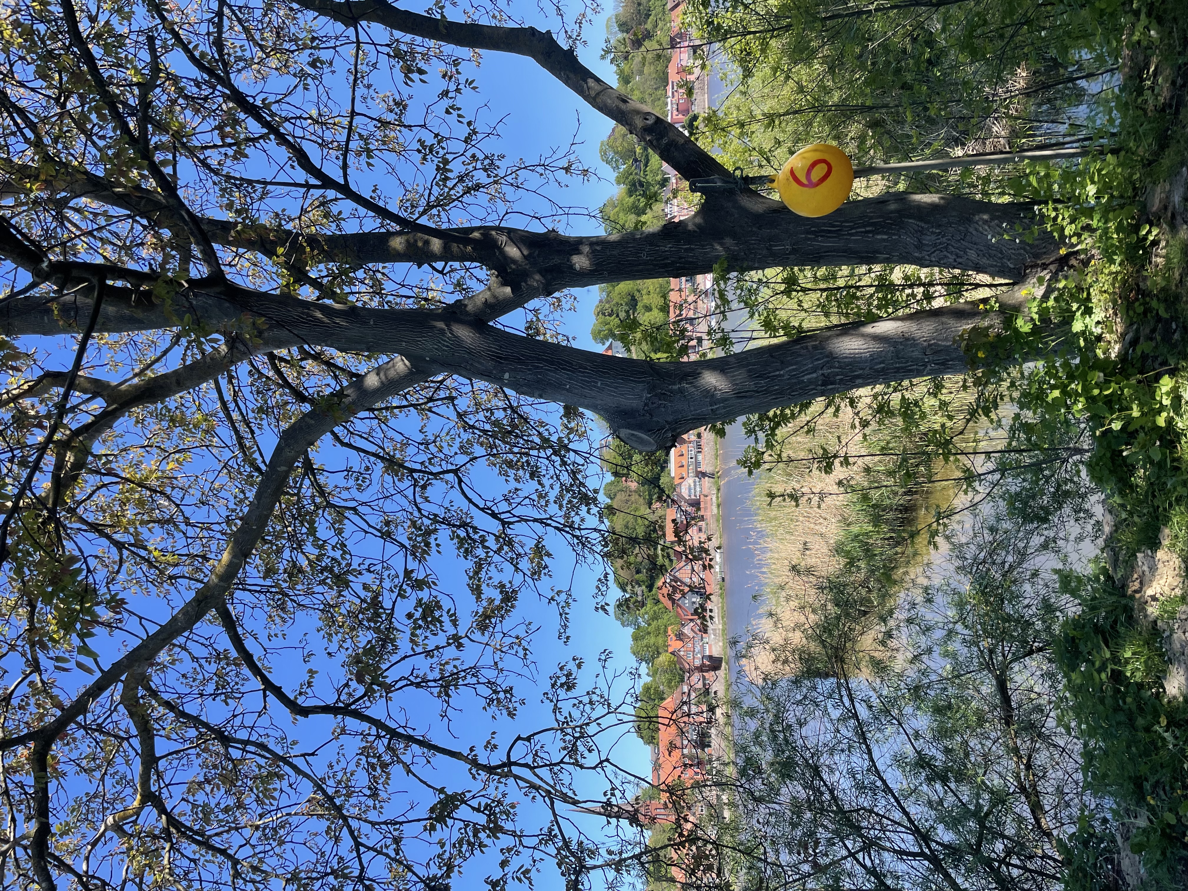 Wohnmobilstellplatz: Panorama Elbblick Stellplatz Hohnstorf/Elbe