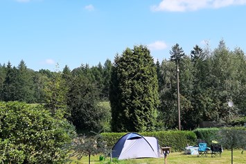 Wohnmobilstellplatz: Campingplatz - Campingplatz "Im Rehwinkel"