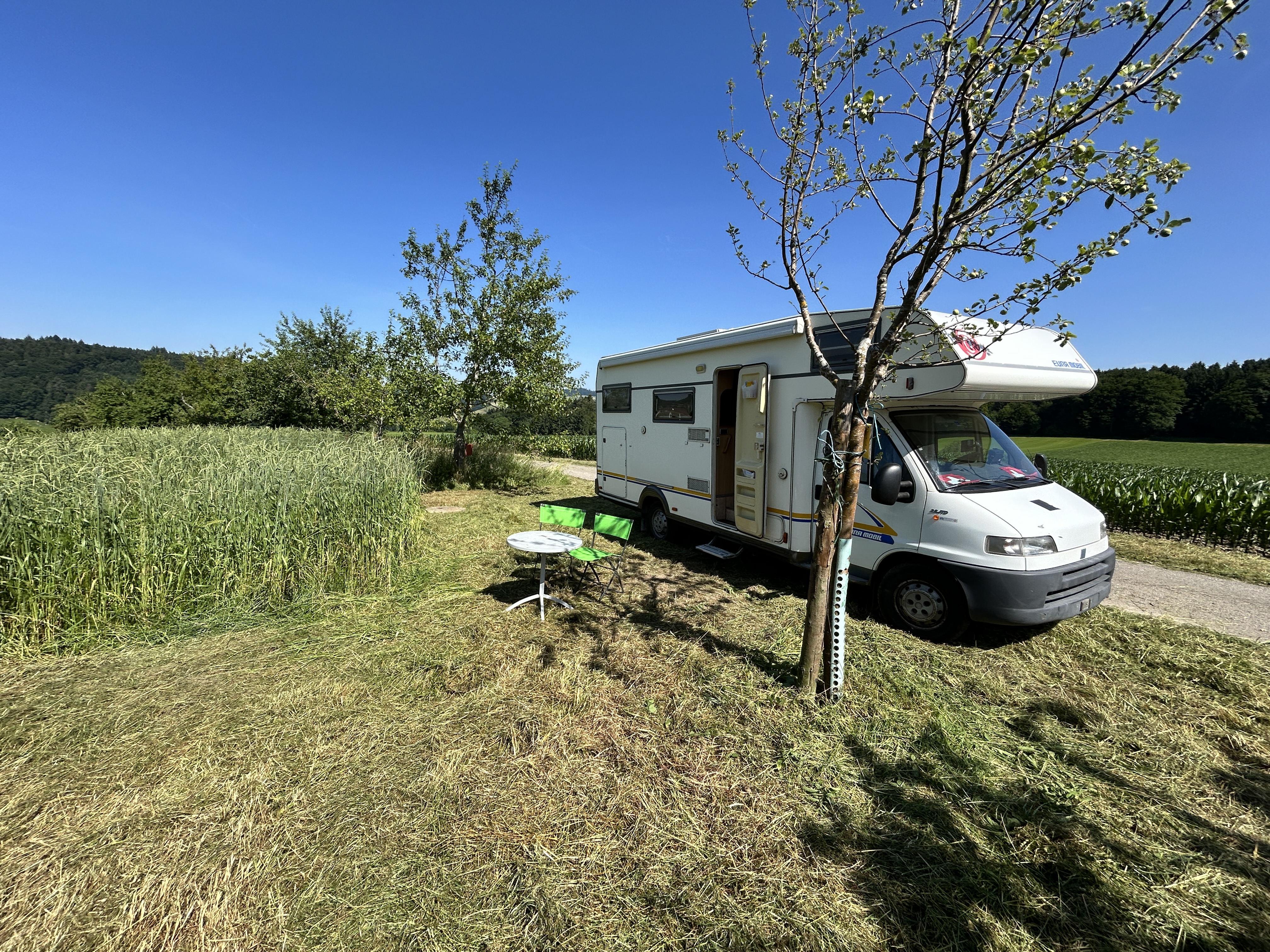 Reisemobilstellplatz - Büren an der Aare - Stellplatz unter Obstbäumen
