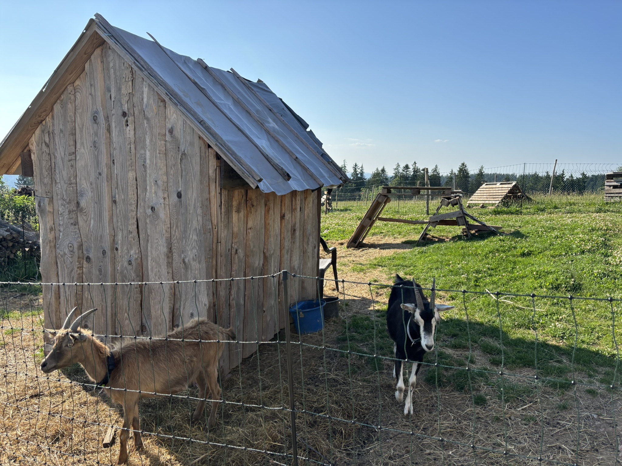 Wohnmobilstellplatz: Wohnmobilstellplatz Kristleshof Hutneck