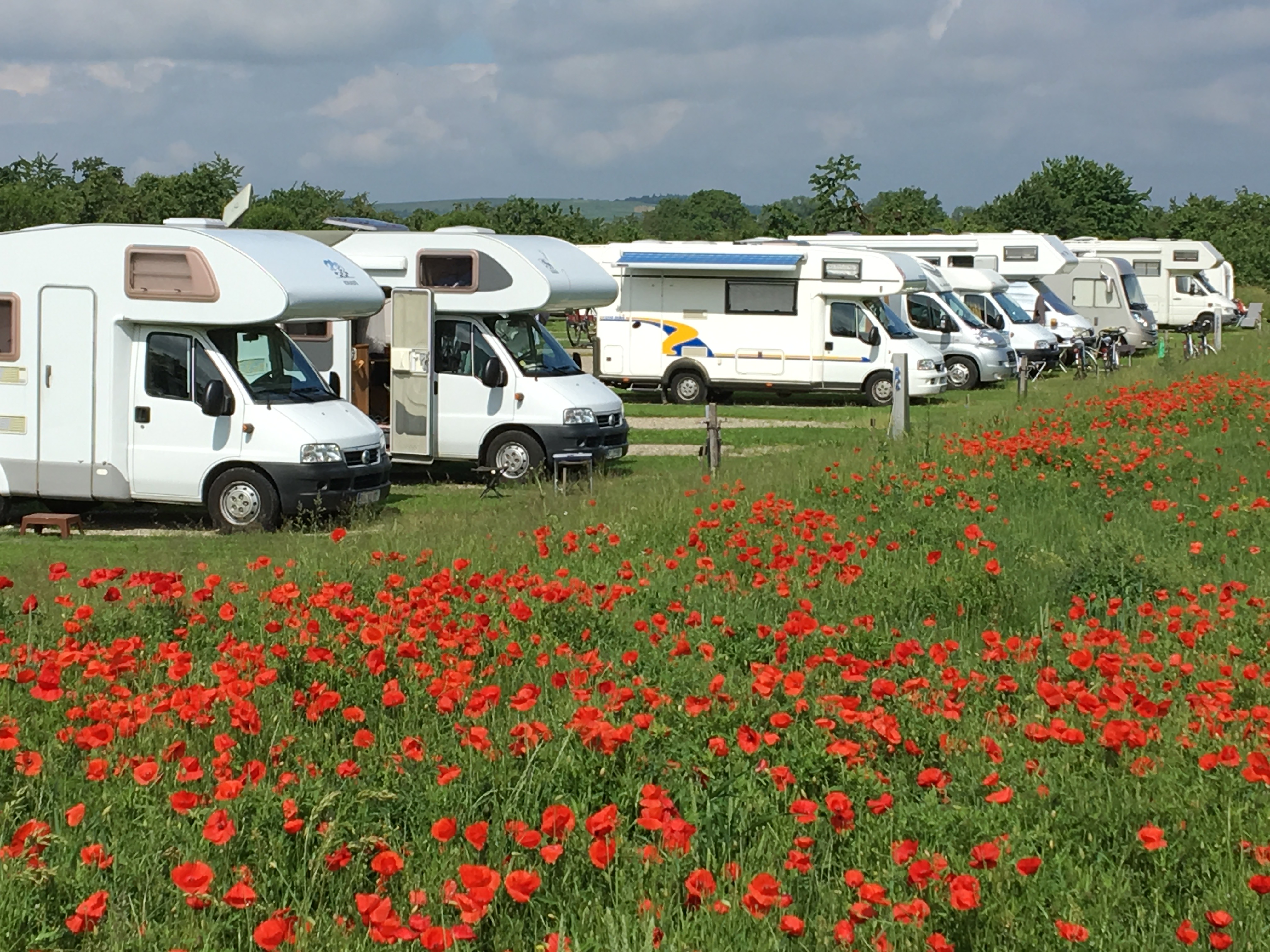 Reisemobilstellplatz - Grauwasserentsorgung - Breisach am Rhein - Wohnmobilgarten am Kirschenhof