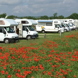 Wohnmobilstellplatz: Wohnmobilgarten am Kirschenhof