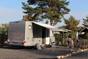 Wohnmobilstellplatz: große Stellplätze am Deich....auch für große Reisemobile geeignet - Campingpark Heidewald