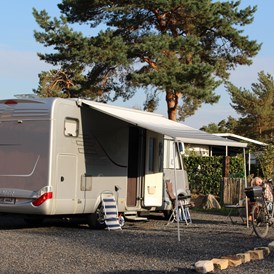 Wohnmobilstellplatz: große Stellplätze am Deich....auch für große Reisemobile geeignet - Campingpark Heidewald